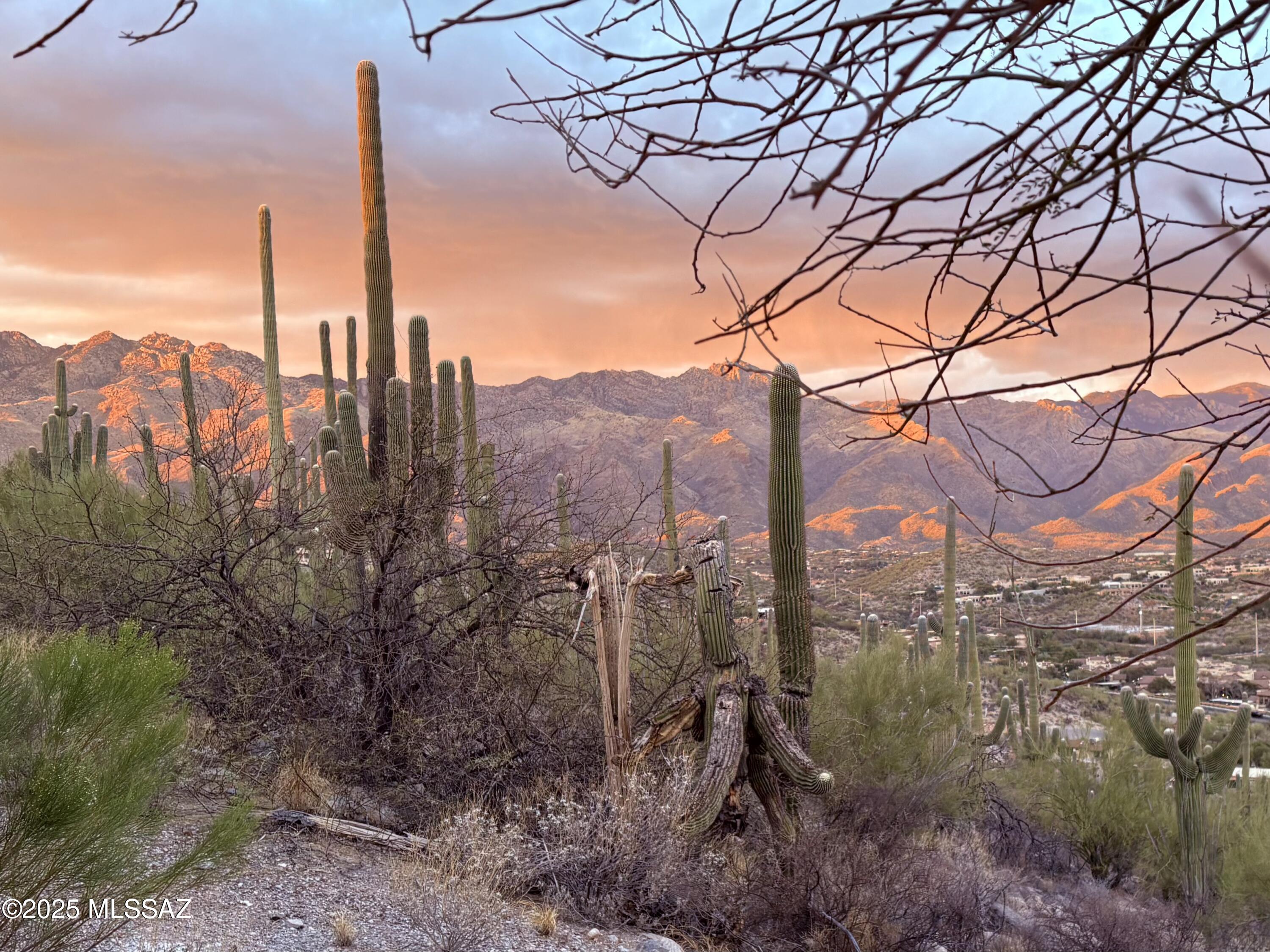 4460 N Trocha Alegre