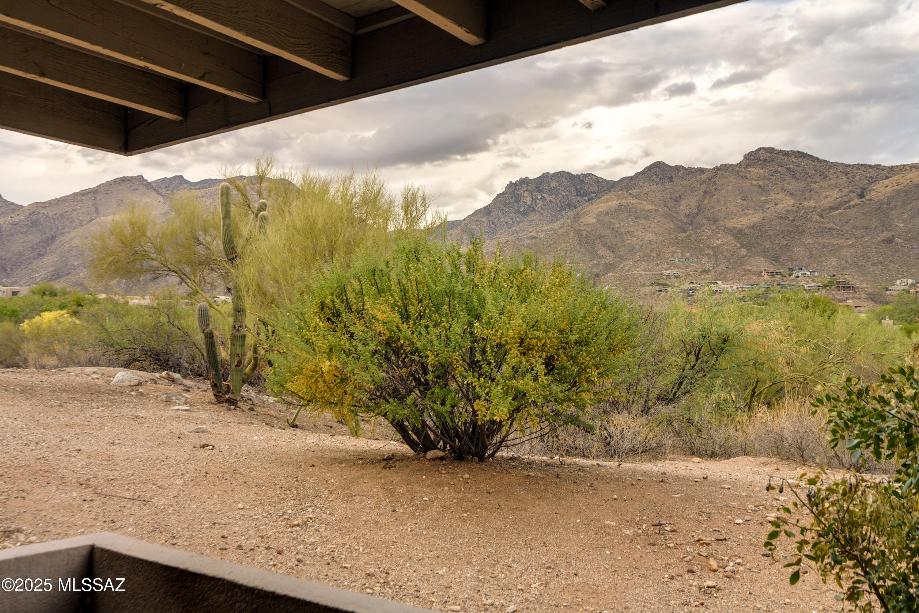 5855 N Kolb Road Unit: 1102