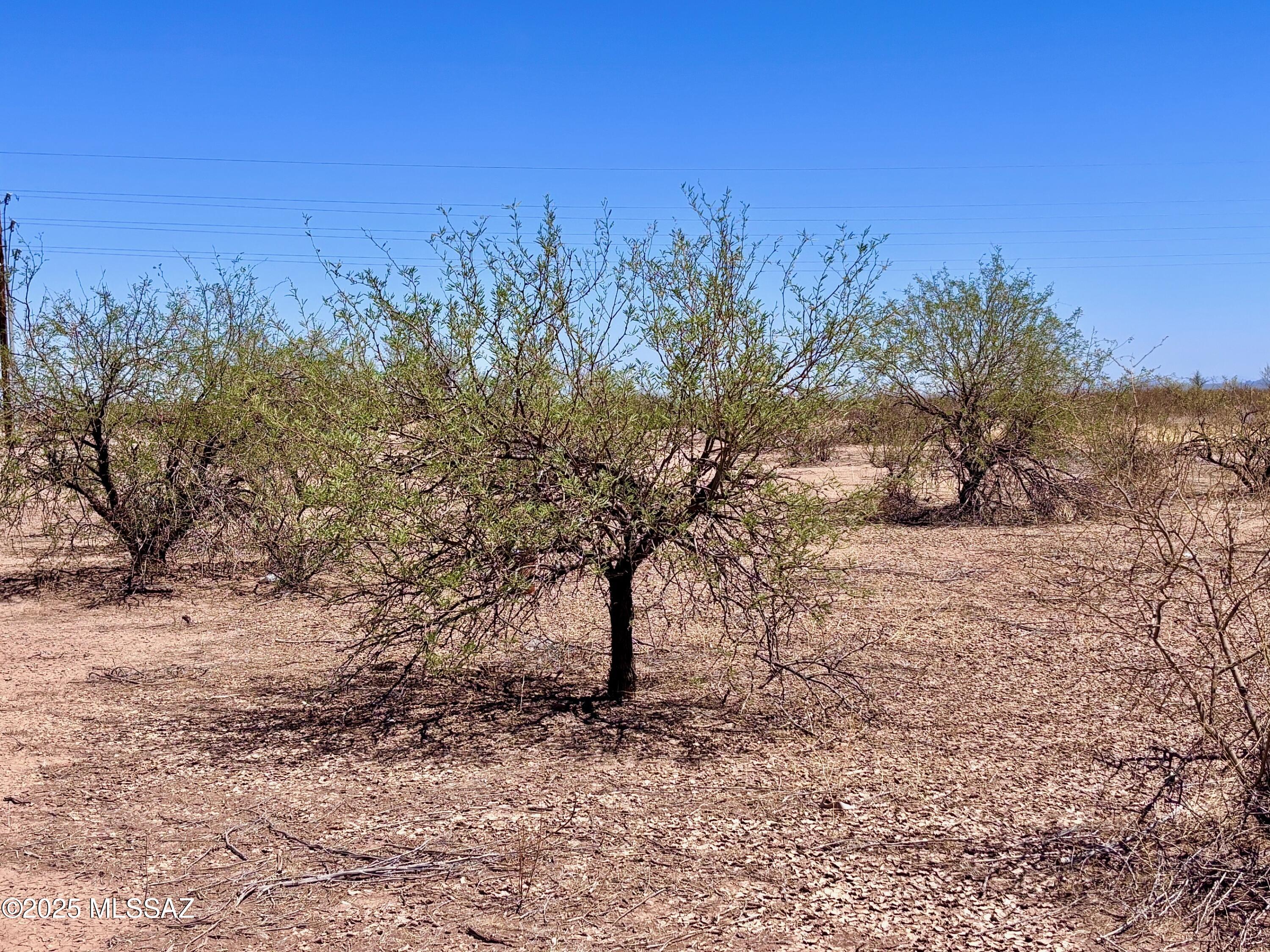 13975 W Orange Grove Road