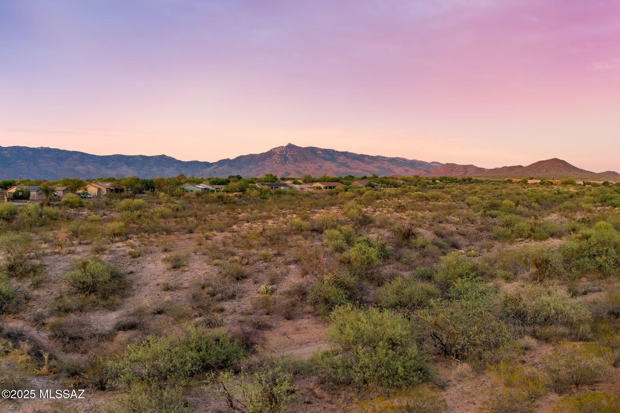 9941 S Placita De La Bondad