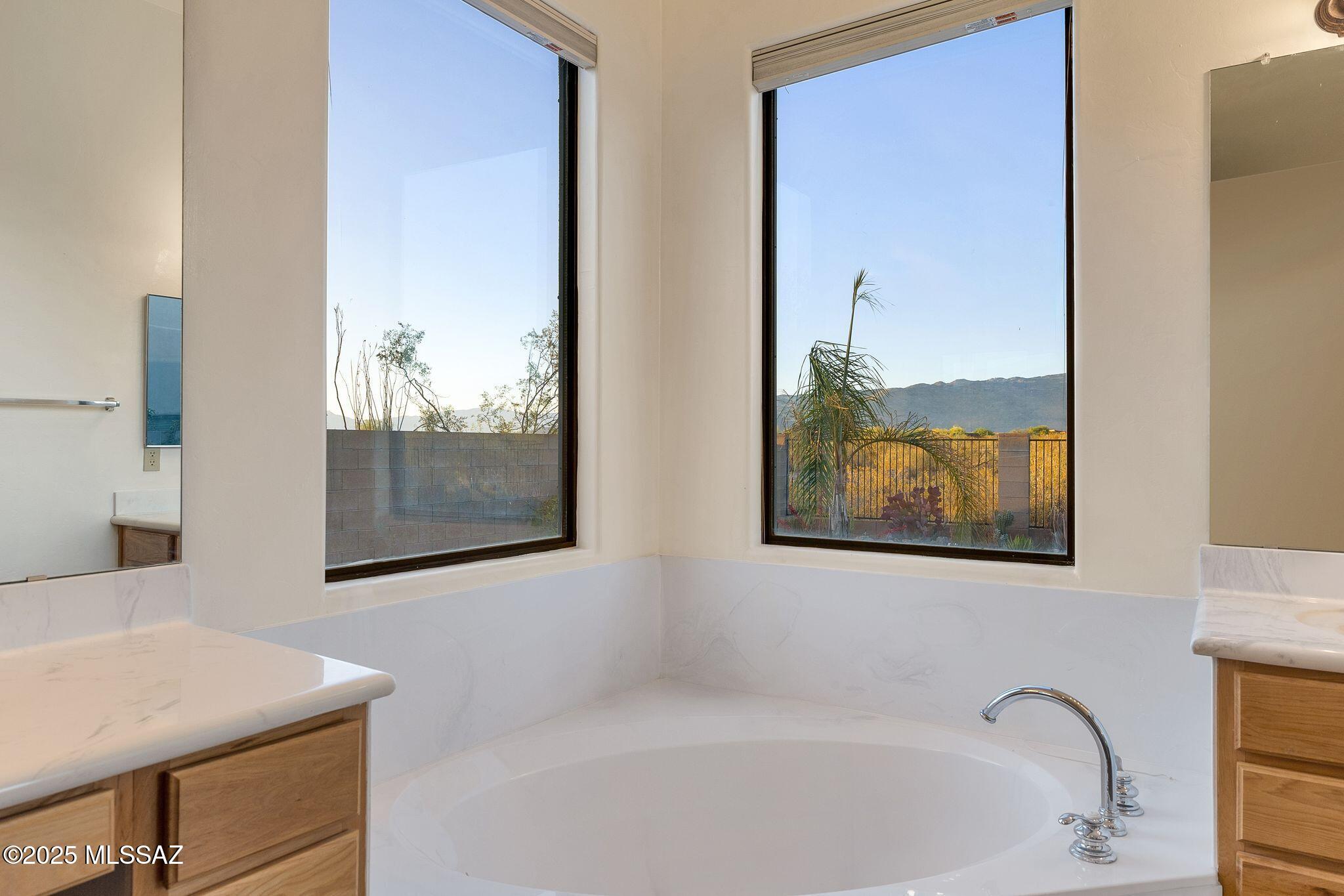 9941 S Placita De La Bondad