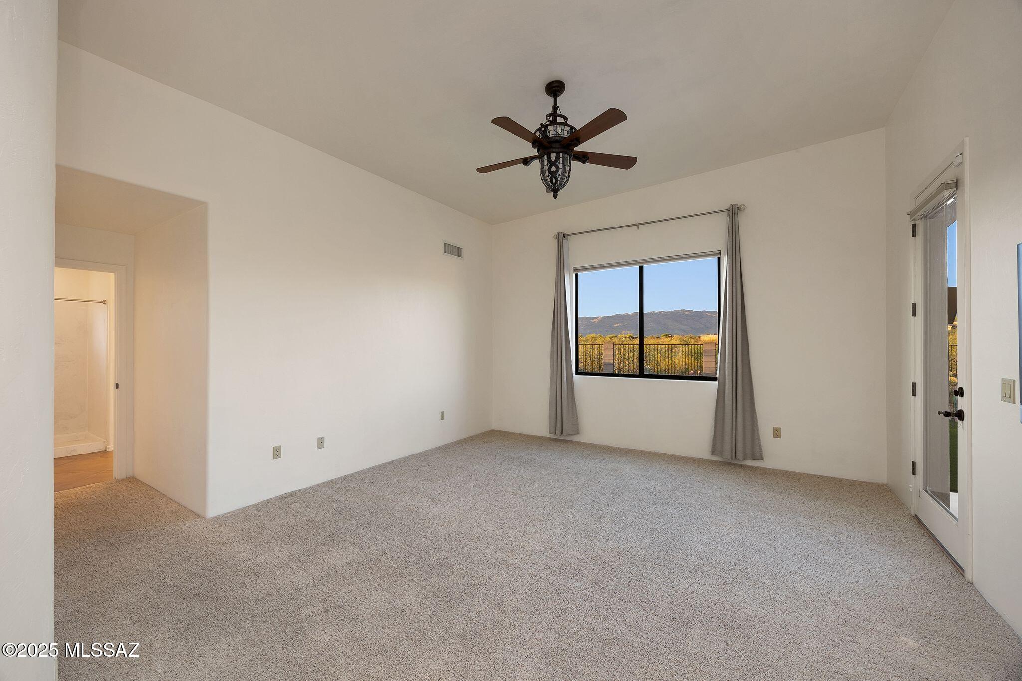 9941 S Placita De La Bondad