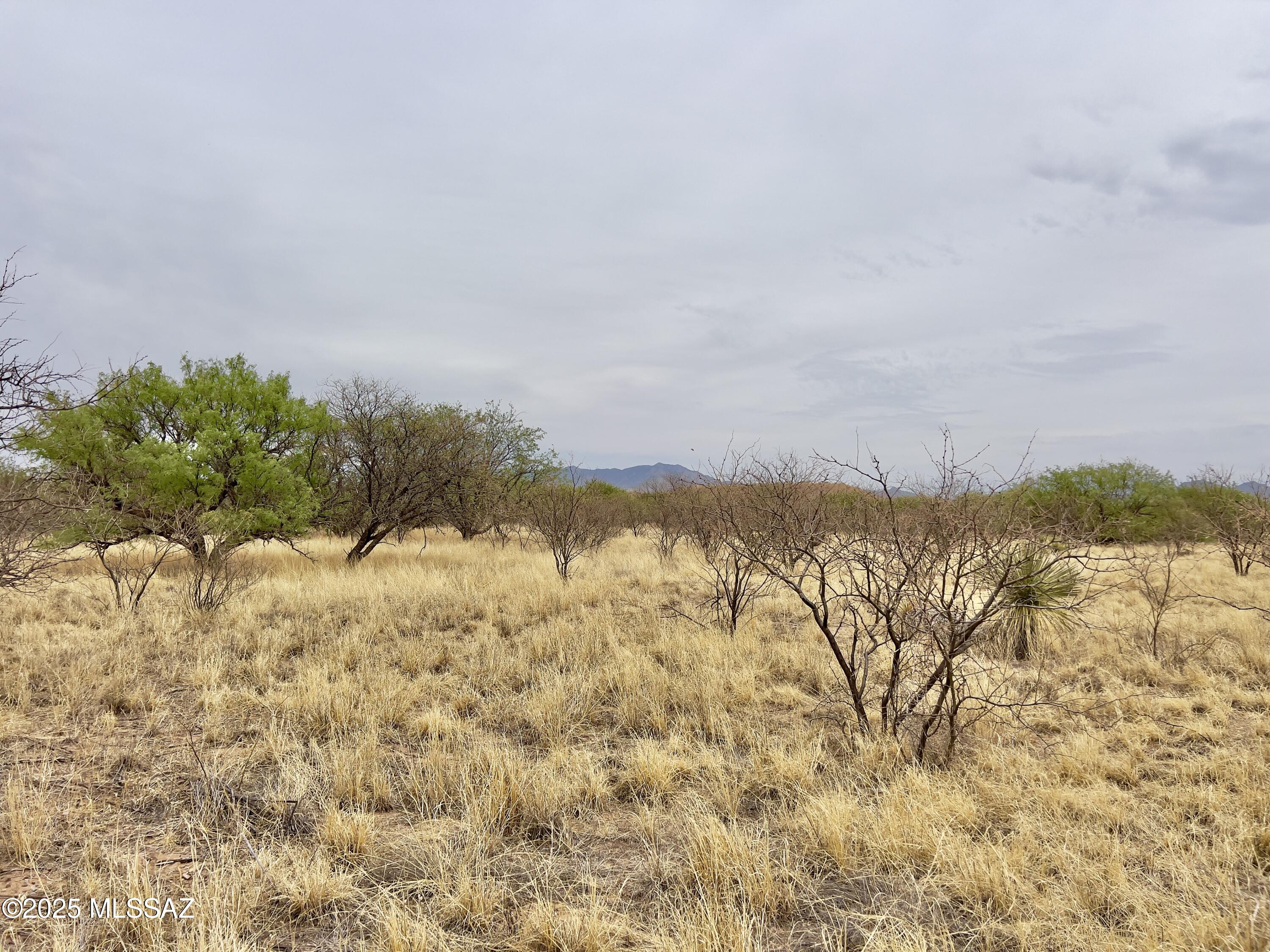 00 Yucca Ash Farm Road