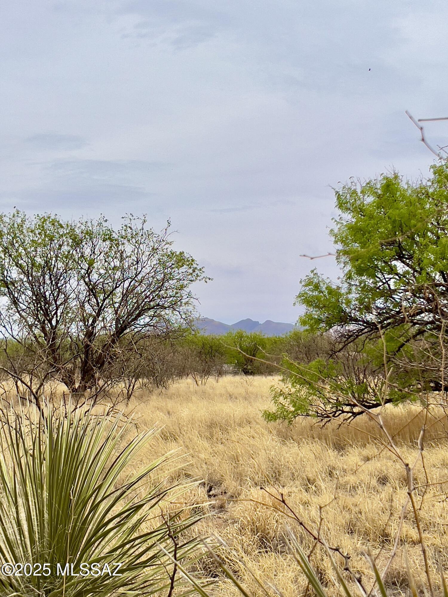 00 Yucca Ash Farm Road