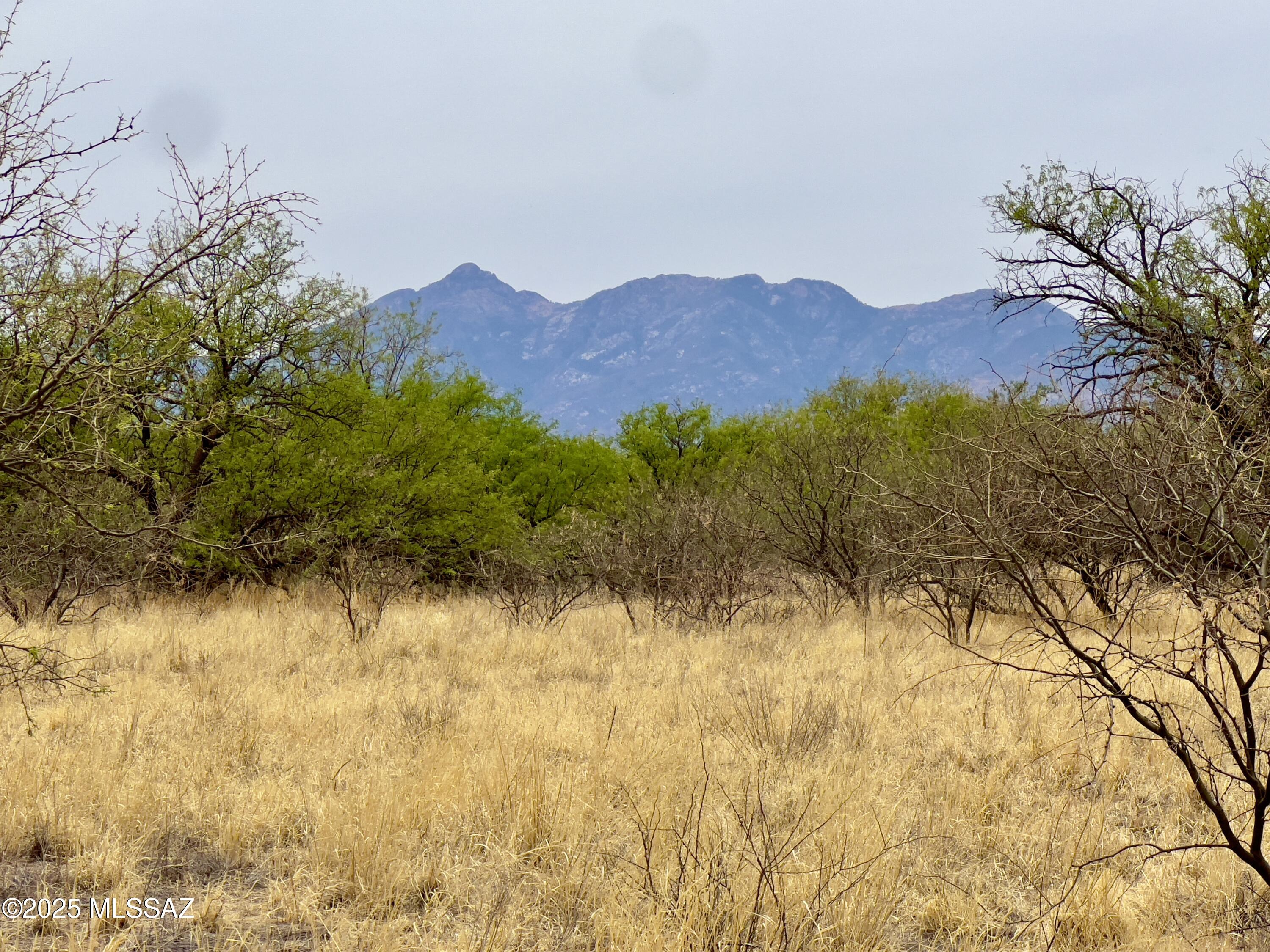 00 Yucca Ash Farm Road