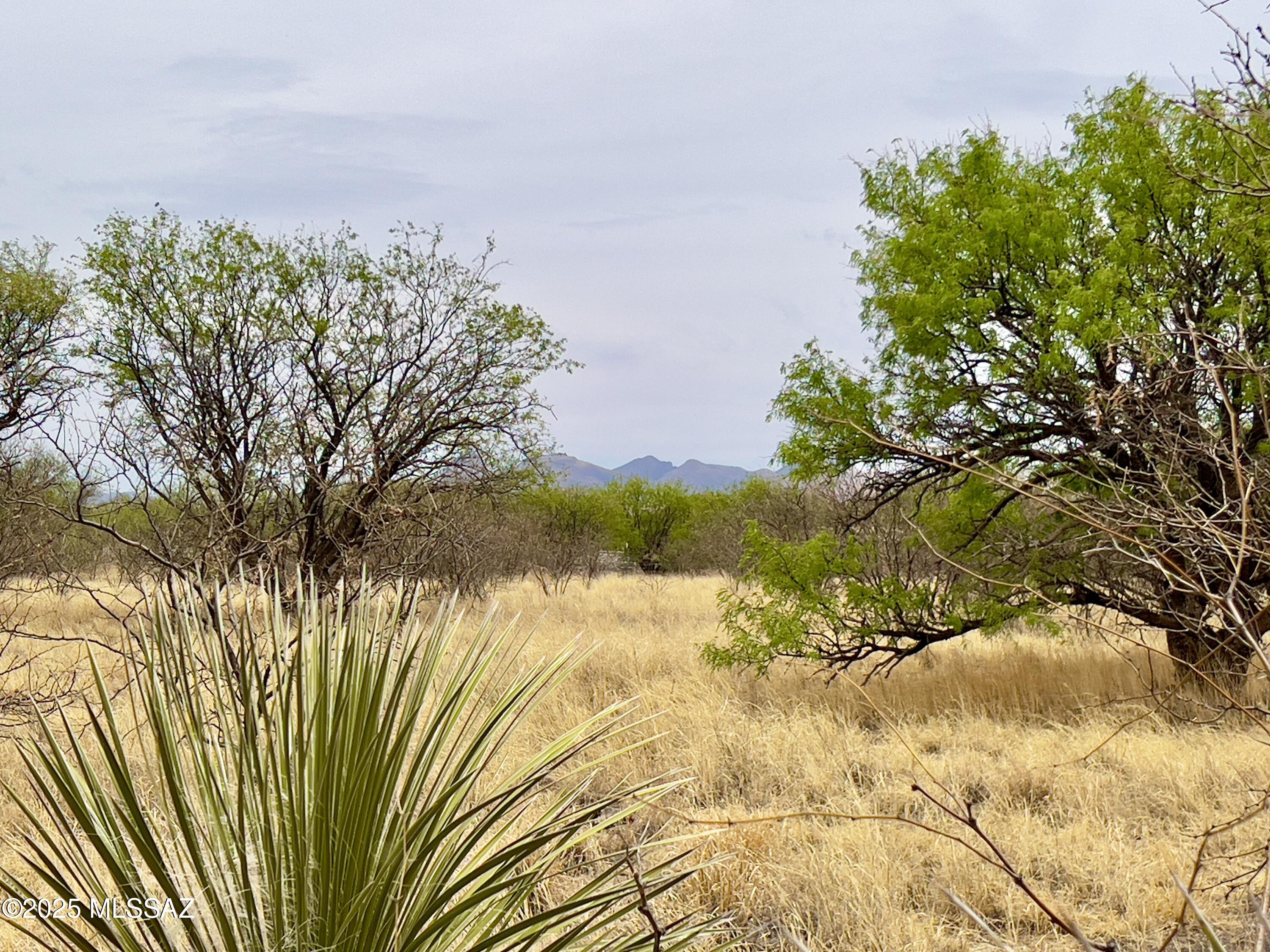 00 Yucca Ash Farm Road