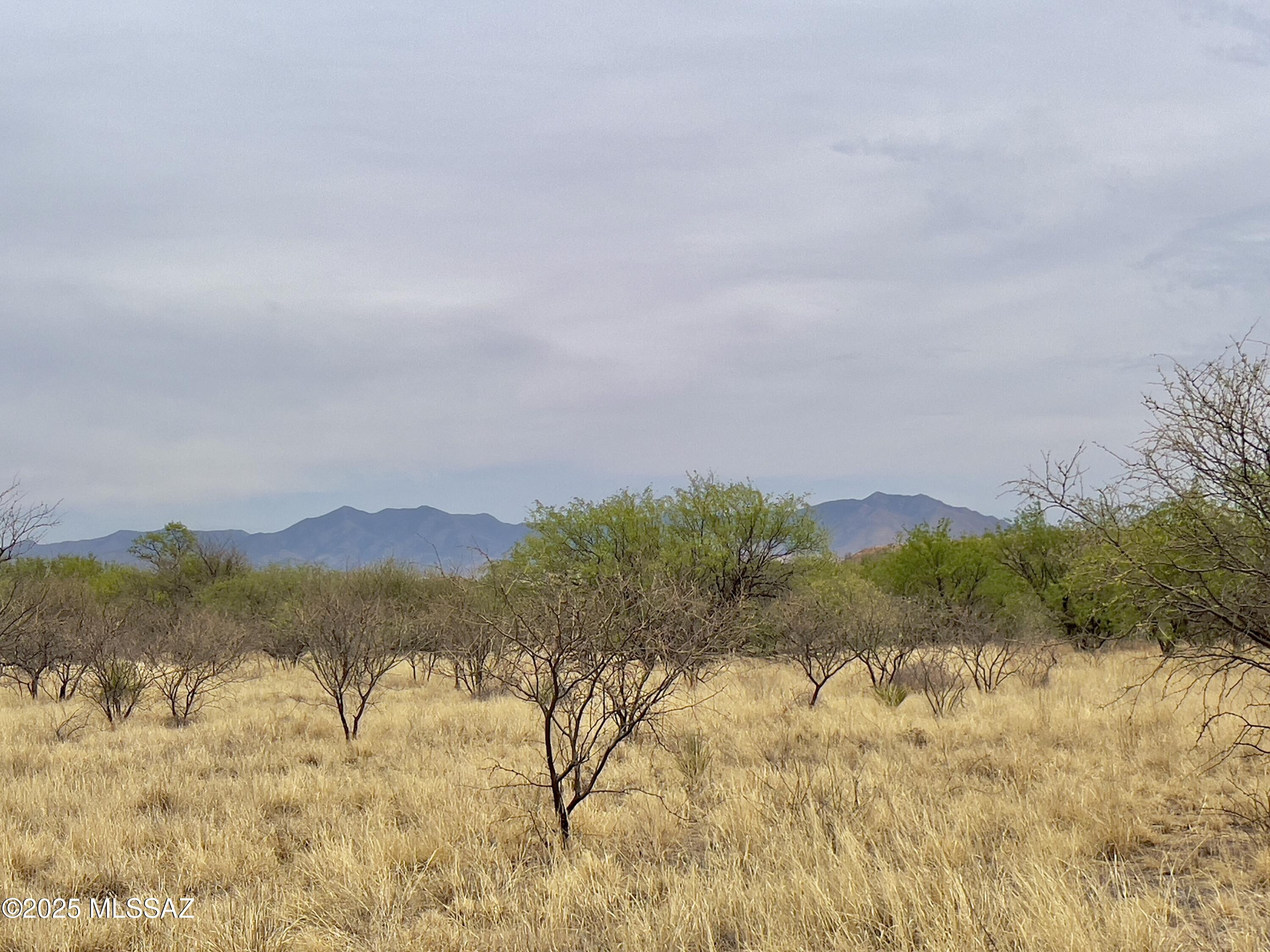 00 Yucca Ash Farm Road