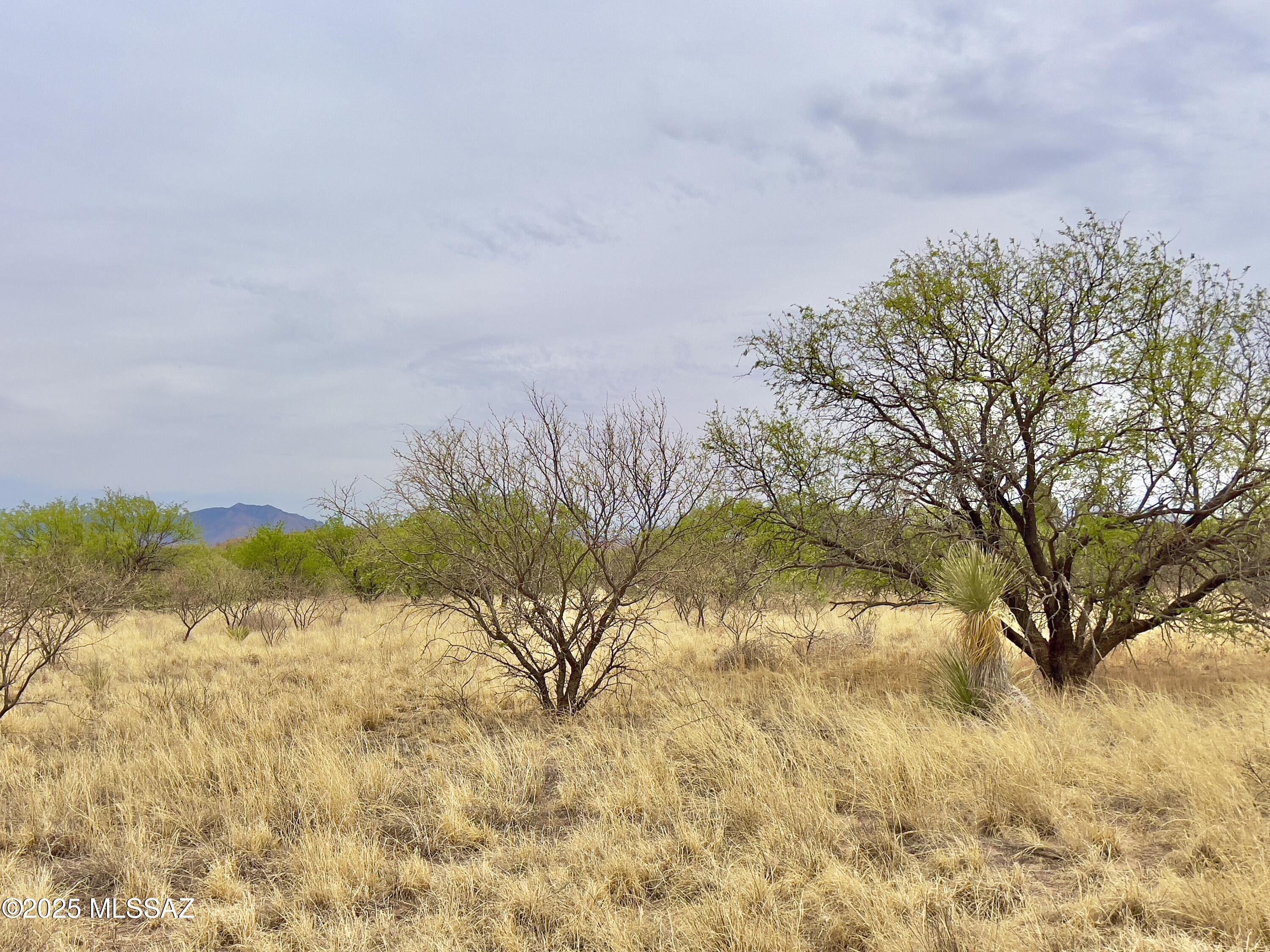 00 Yucca Ash Farm Road