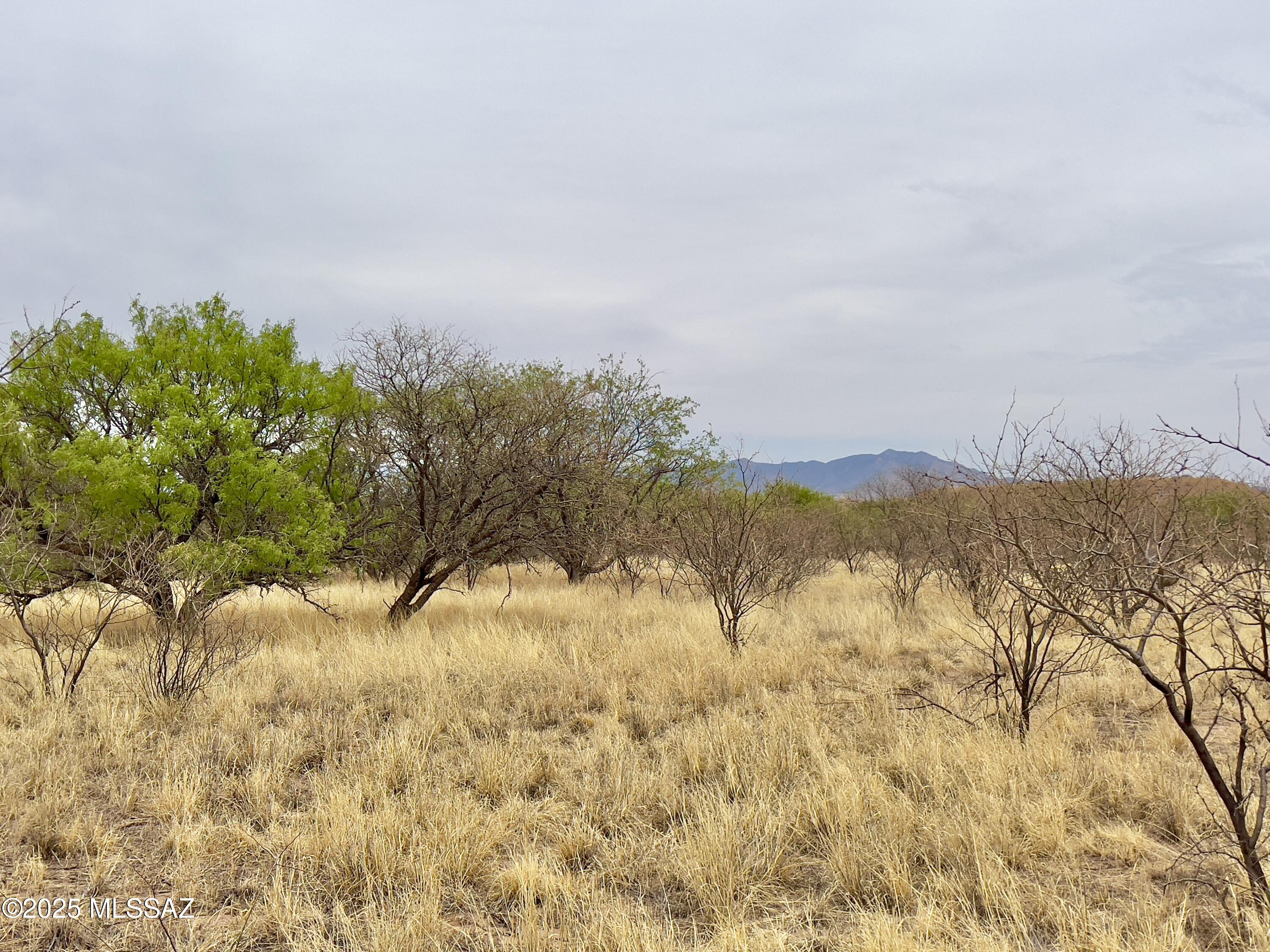 00 Yucca Ash Farm Road