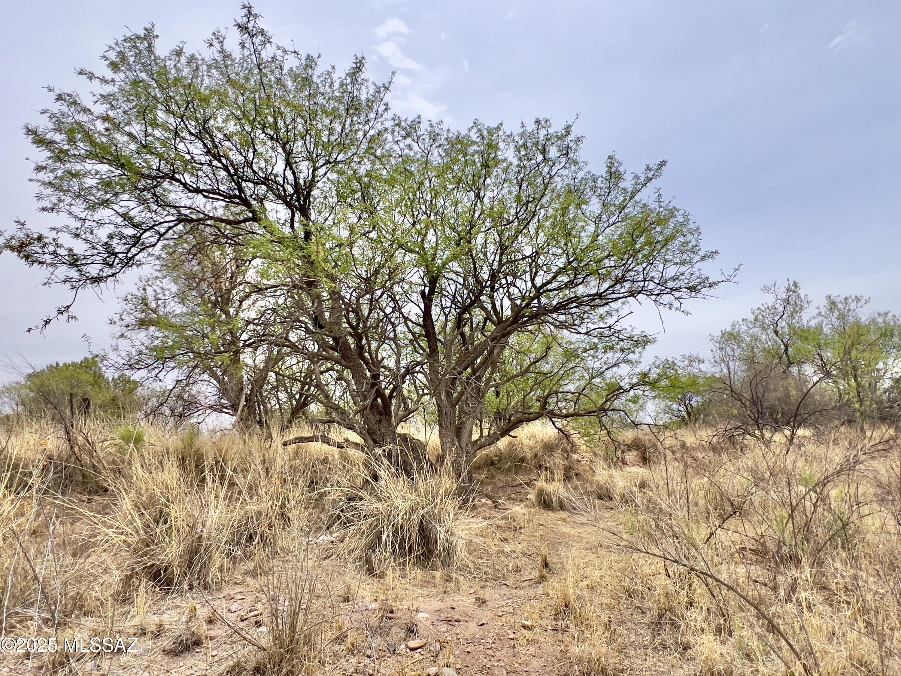 00 Yucca Ash Farm Road