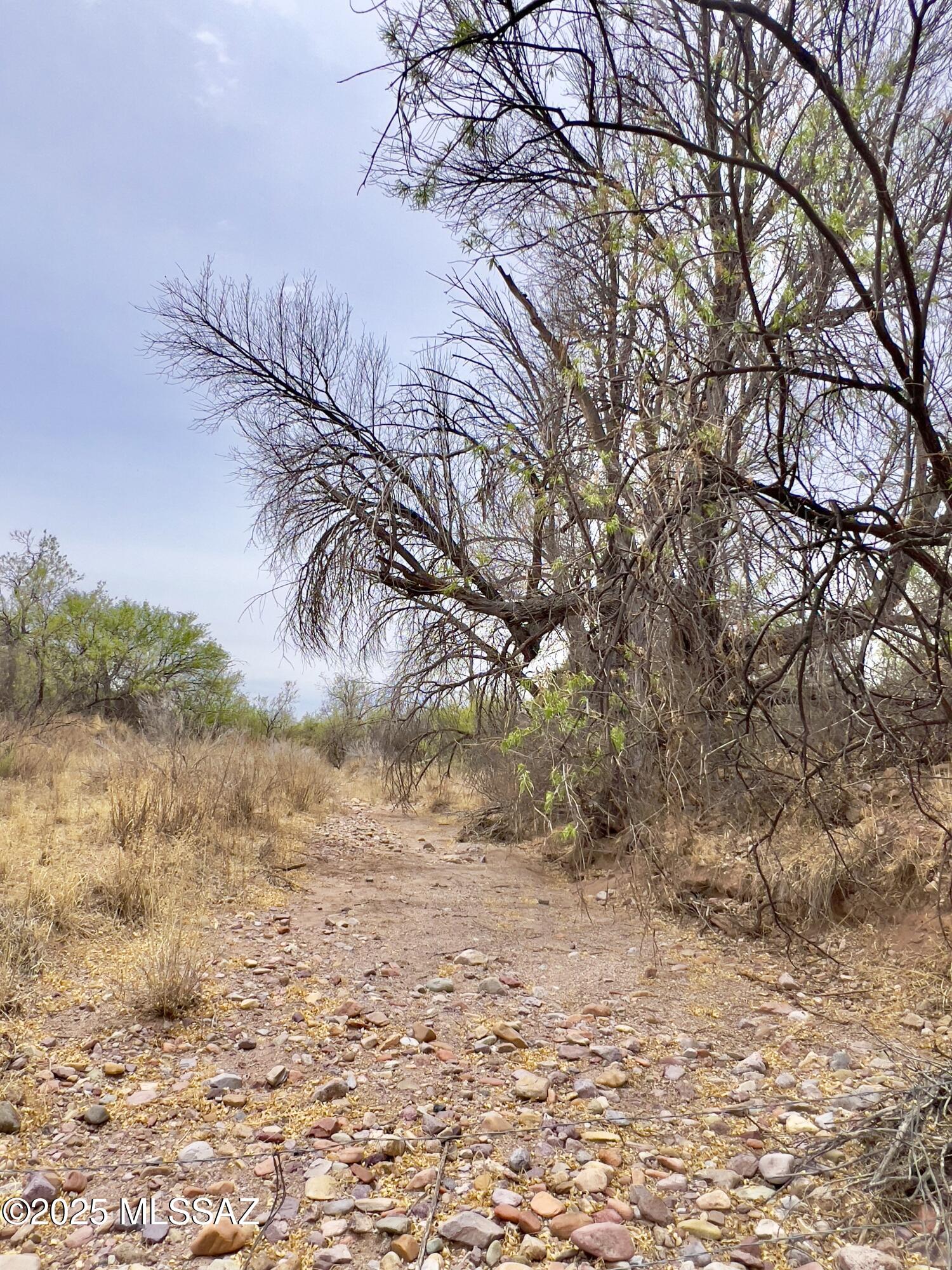 00 Yucca Ash Farm Road