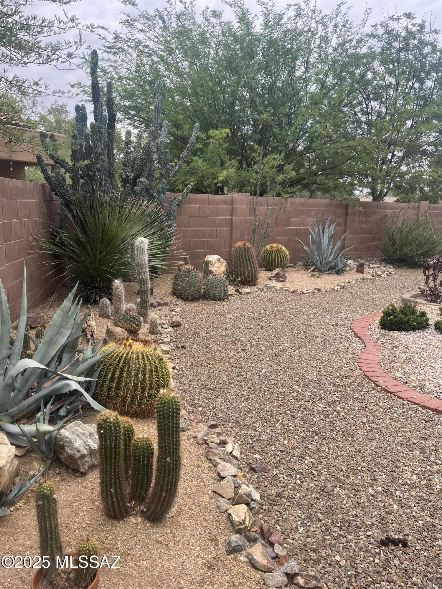 955 E Mt Shibell Drive