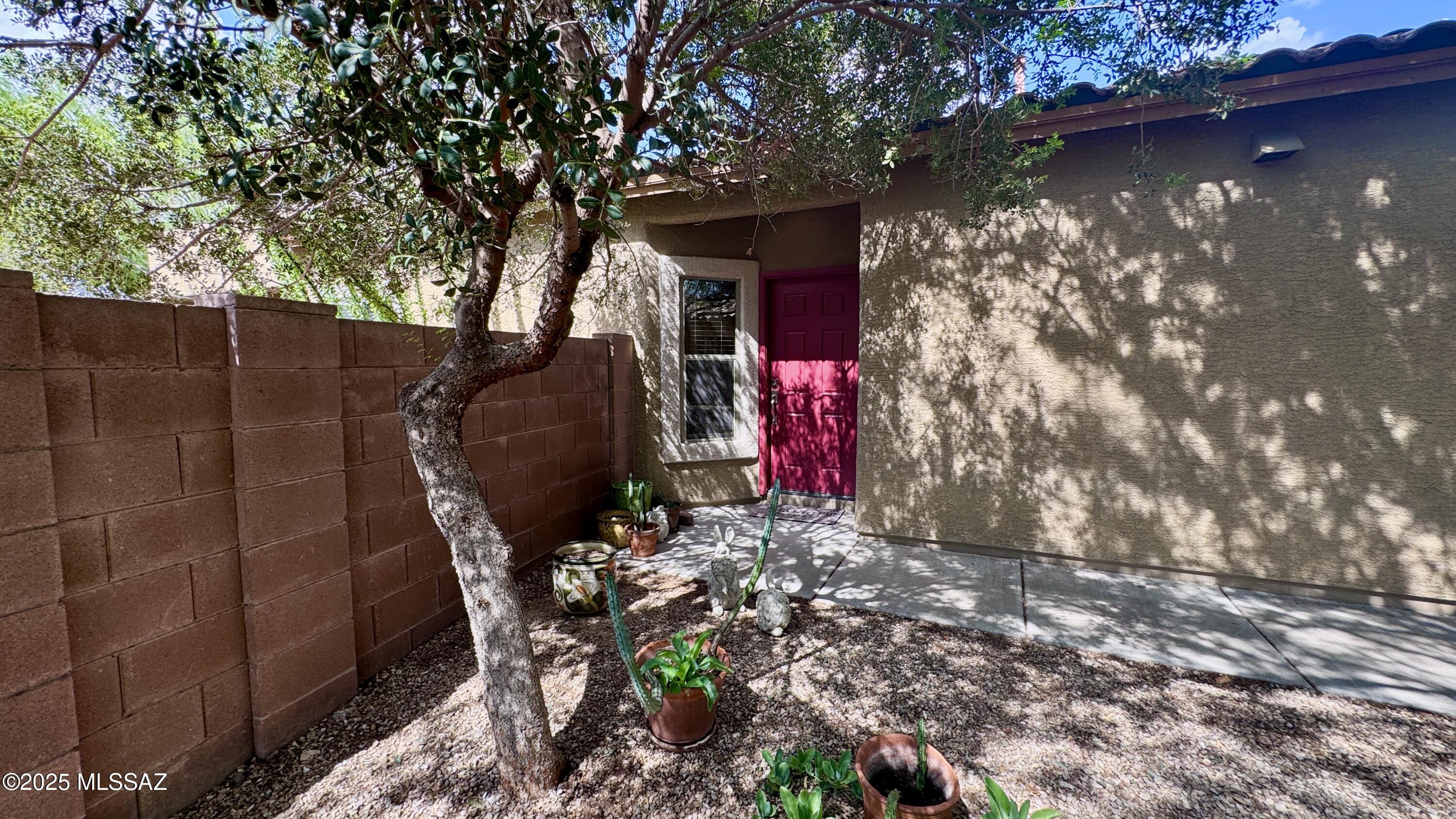 955 E Mt Shibell Drive