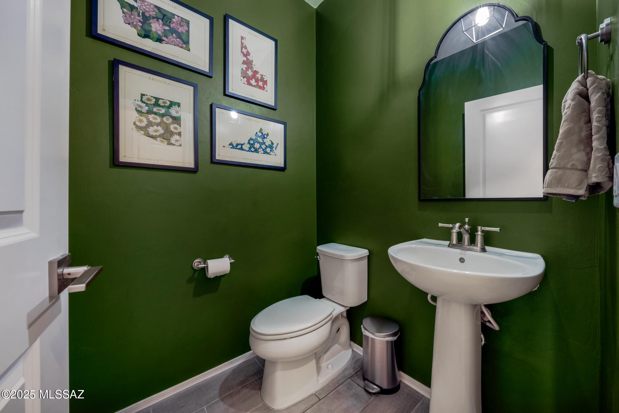 10544 S Avenida Lago De Plata