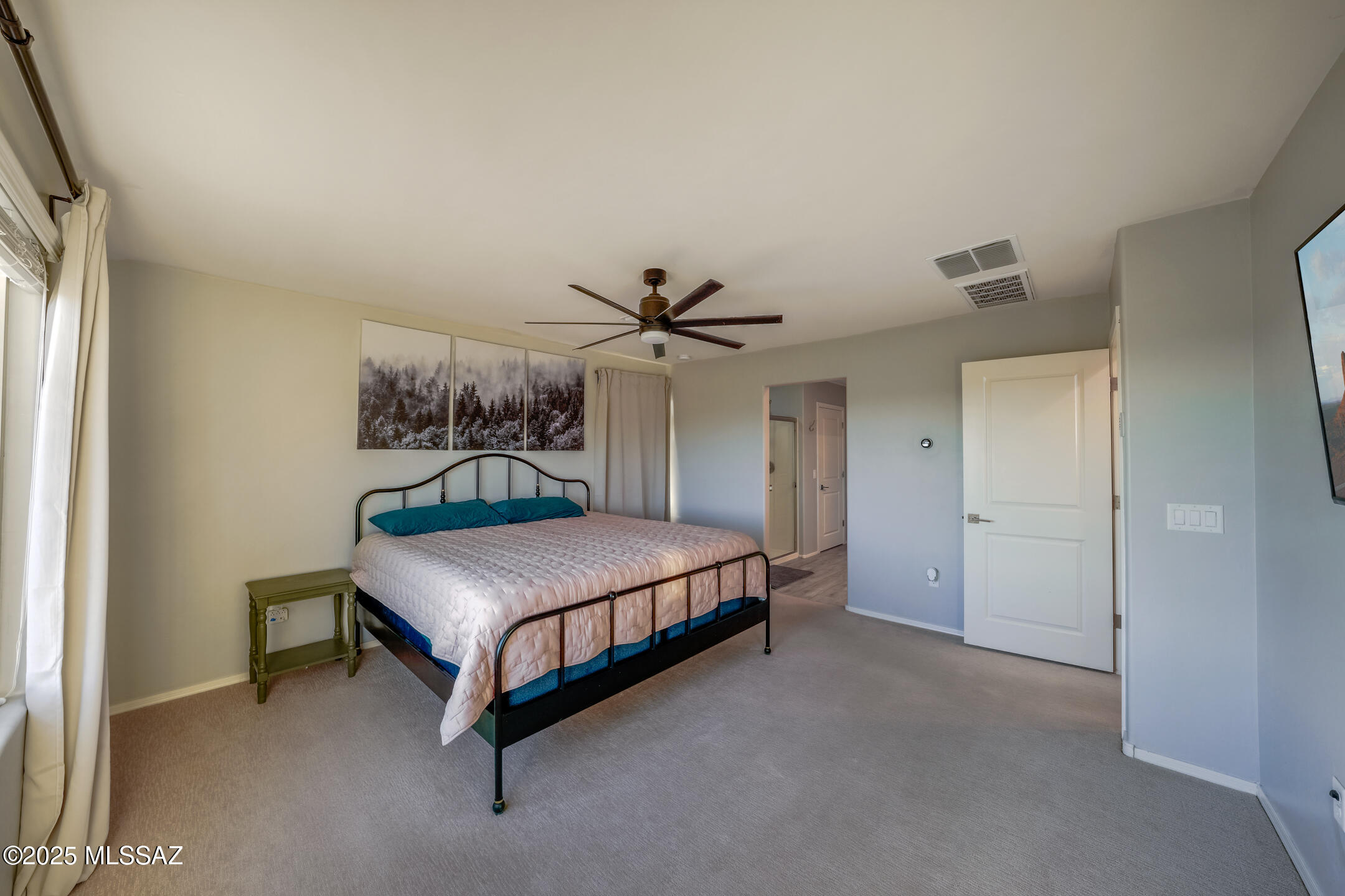 10544 S Avenida Lago De Plata