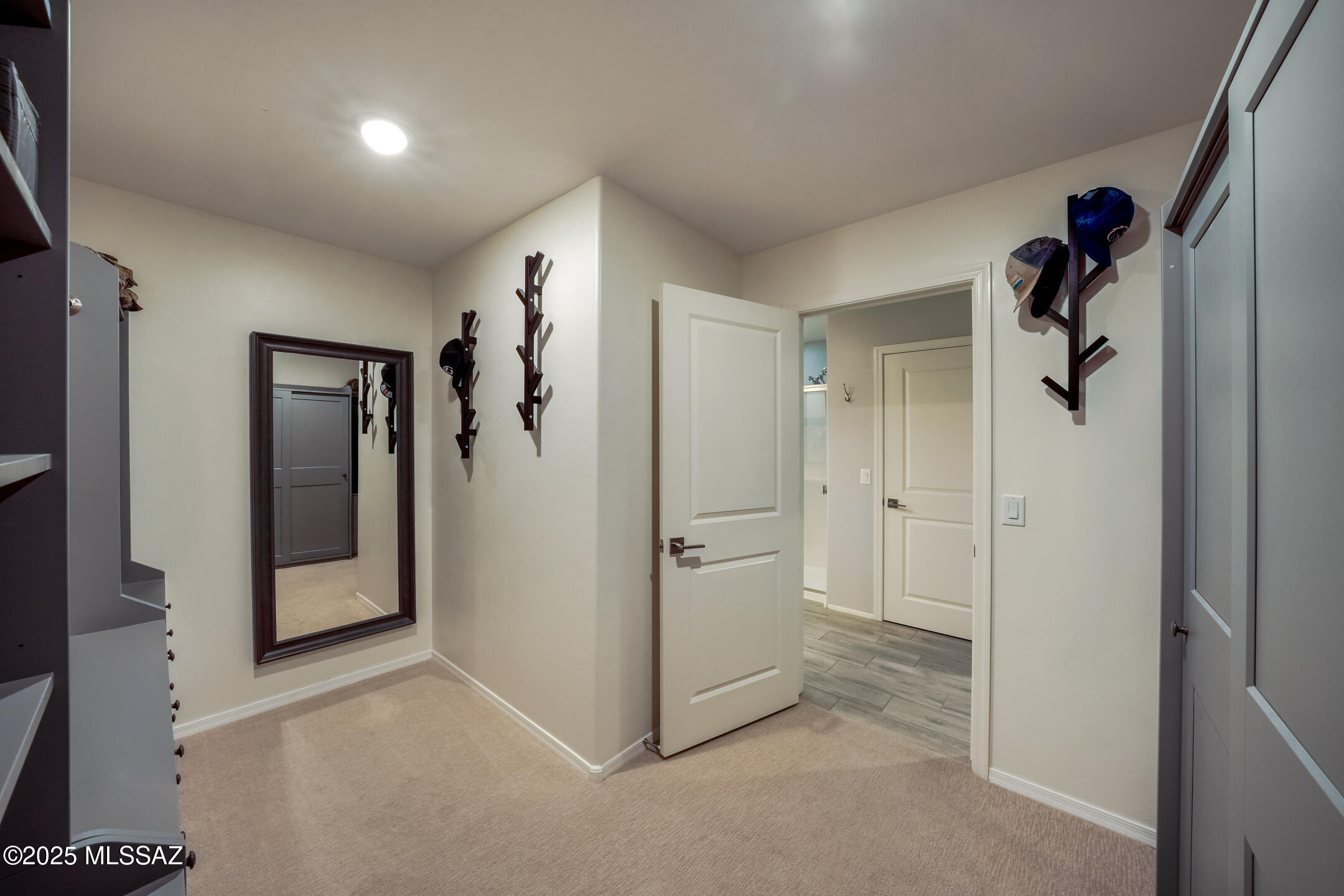 10544 S Avenida Lago De Plata