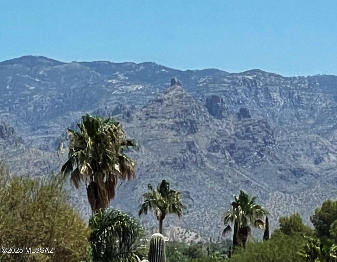 2841 N Vactor Ranch Place