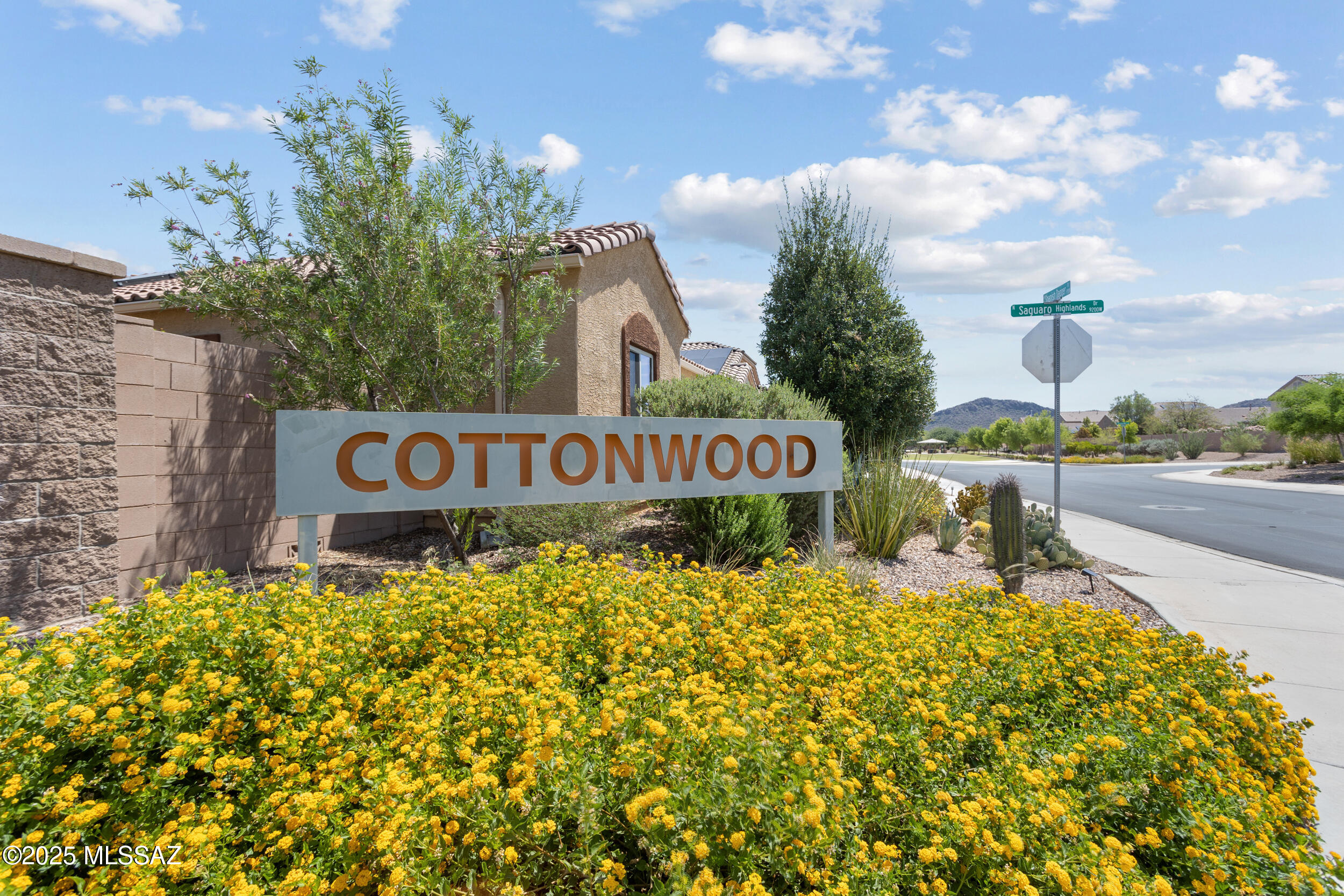 9104 W Blue Saguaro Street