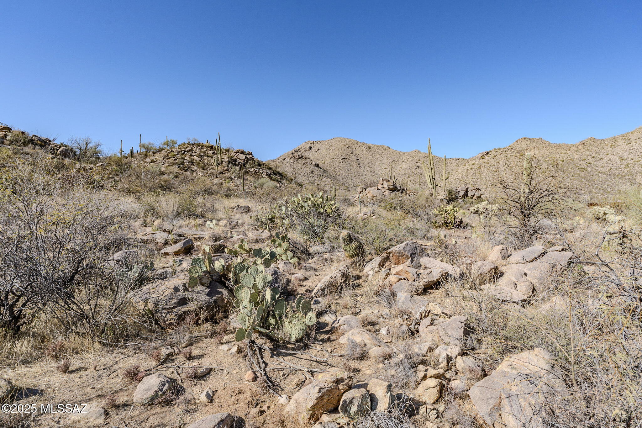 3821 W Cayton Mountain Drive Unit: 162