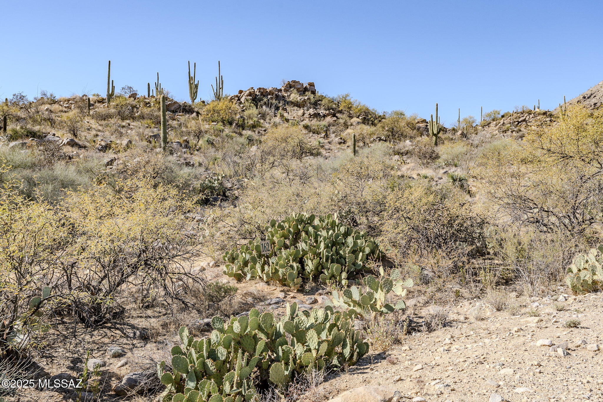 3821 W Cayton Mountain Drive Unit: 162