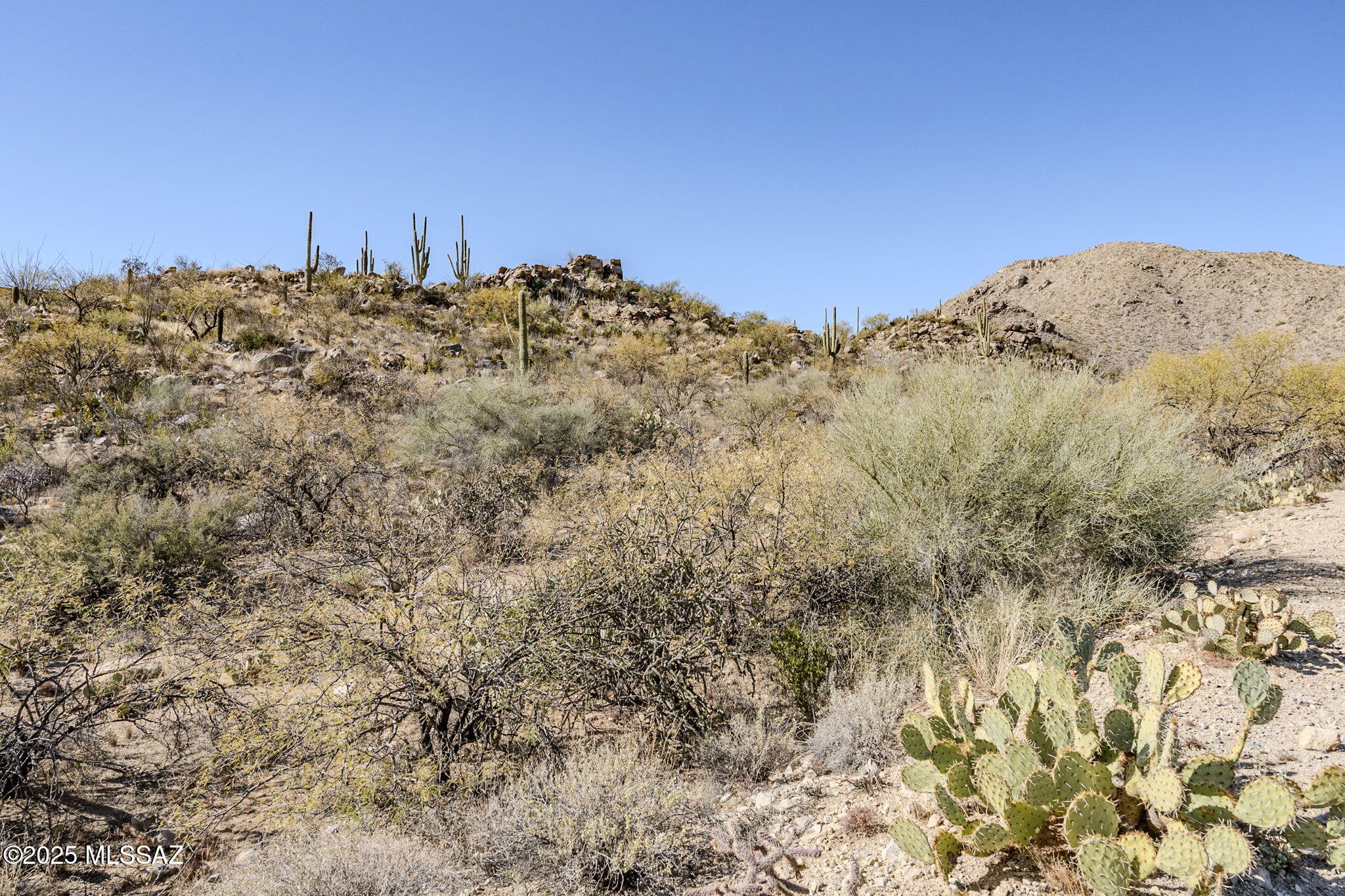 3821 W Cayton Mountain Drive Unit: 162