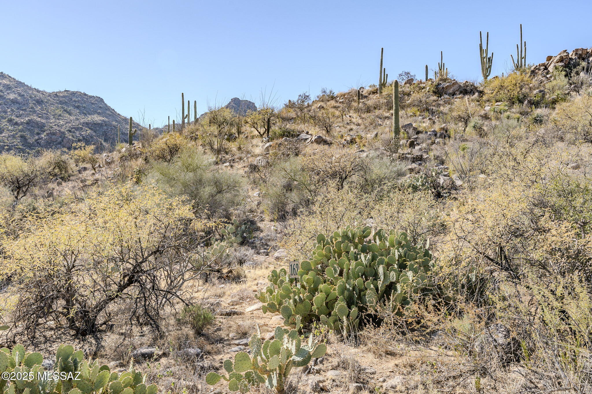 3821 W Cayton Mountain Drive Unit: 162