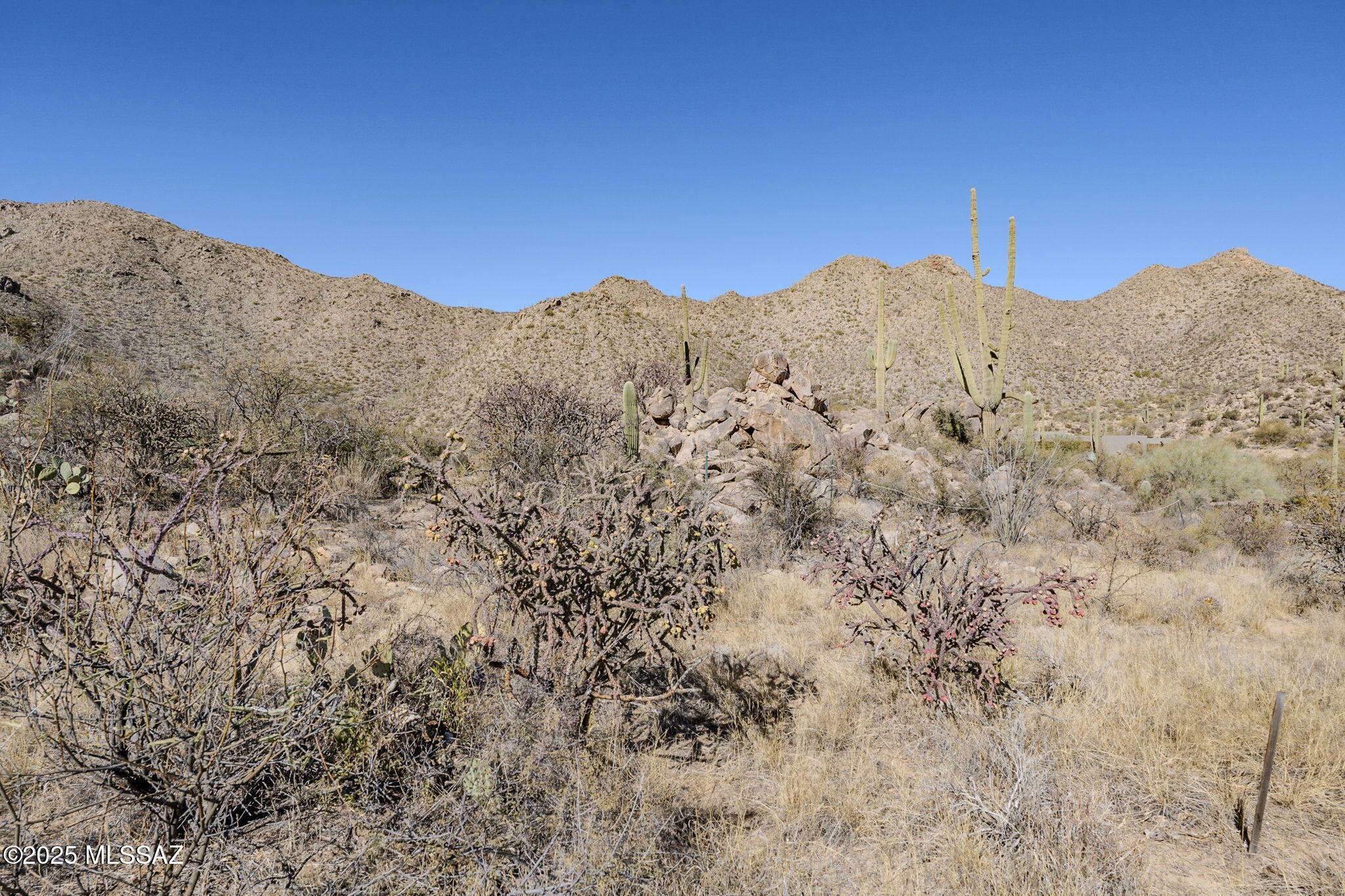 3821 W Cayton Mountain Drive Unit: 162