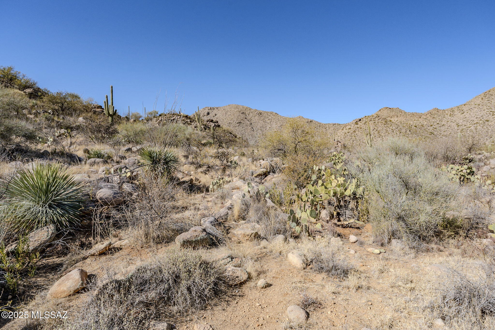 3821 W Cayton Mountain Drive Unit: 162