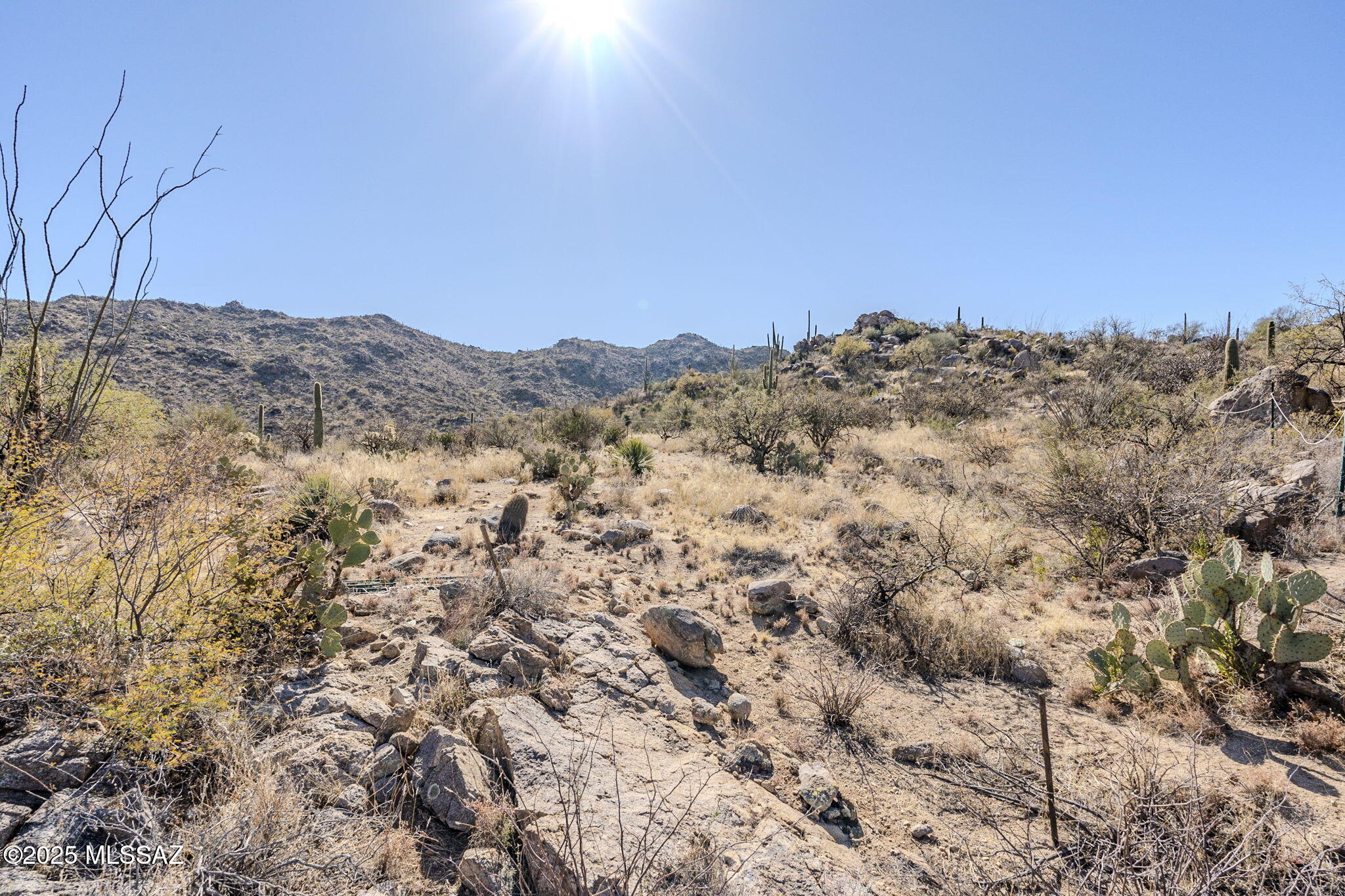 3821 W Cayton Mountain Drive Unit: 162