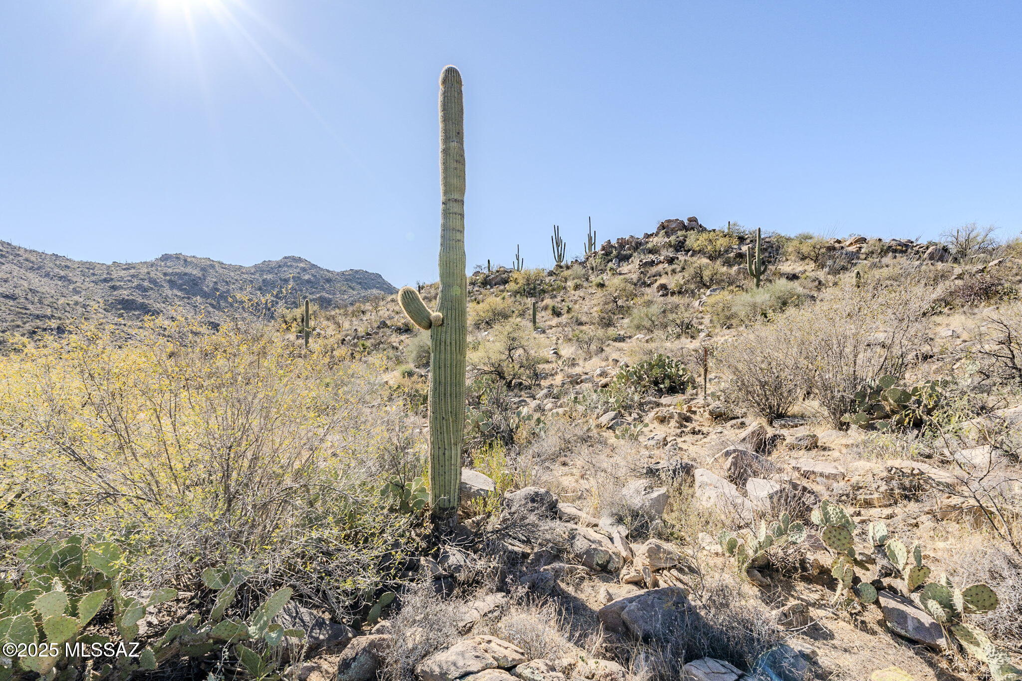 3821 W Cayton Mountain Drive Unit: 162