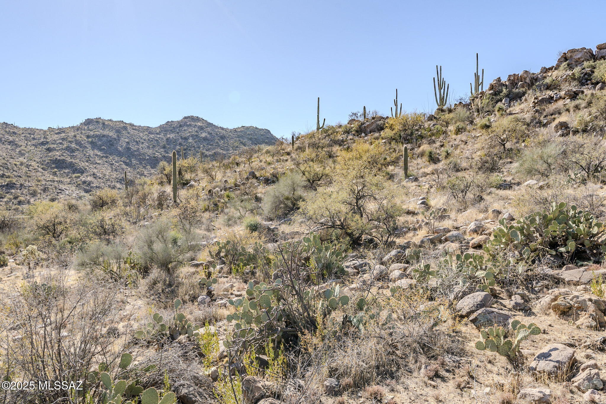 3821 W Cayton Mountain Drive Unit: 162