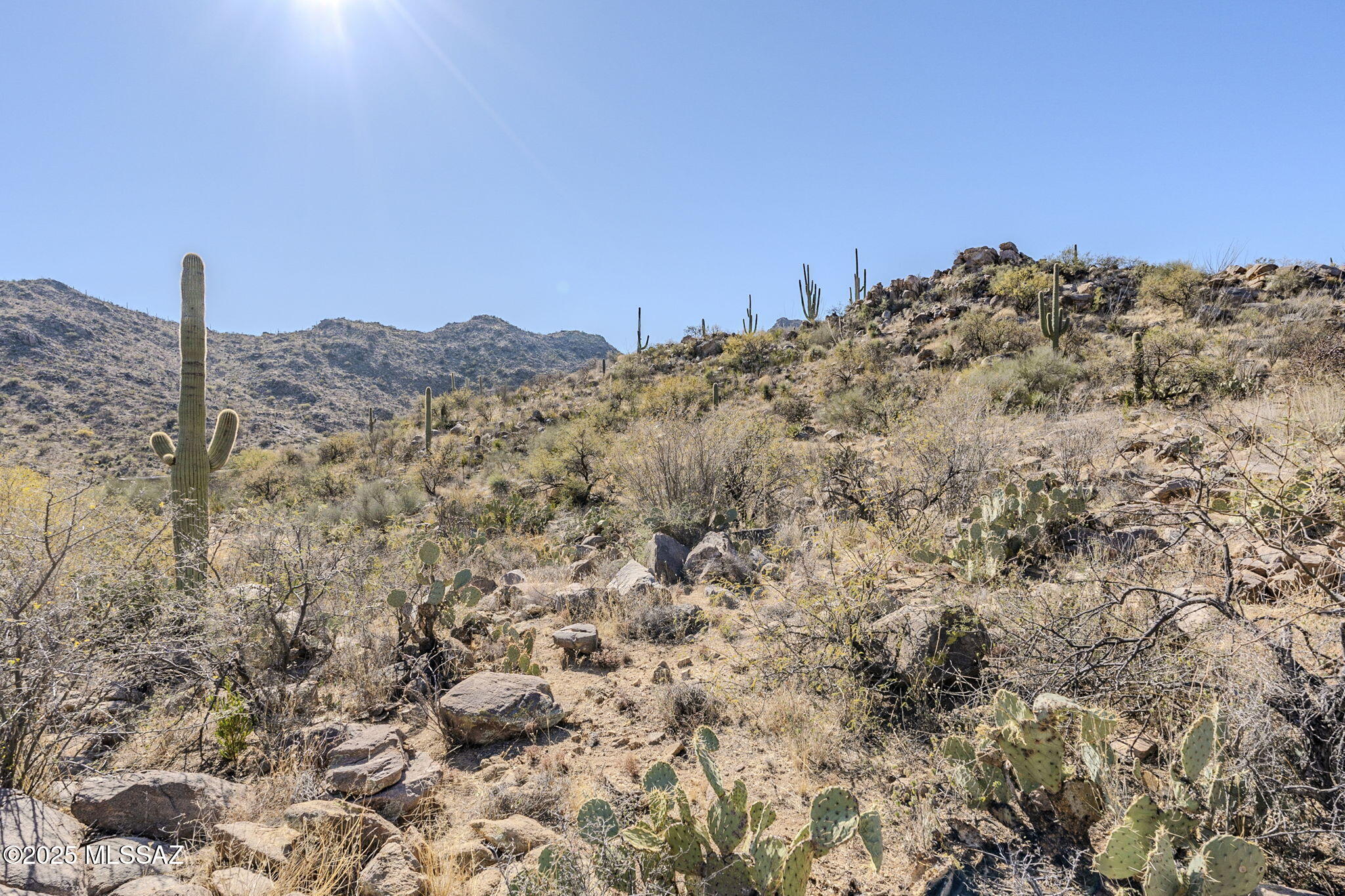 3821 W Cayton Mountain Drive Unit: 162