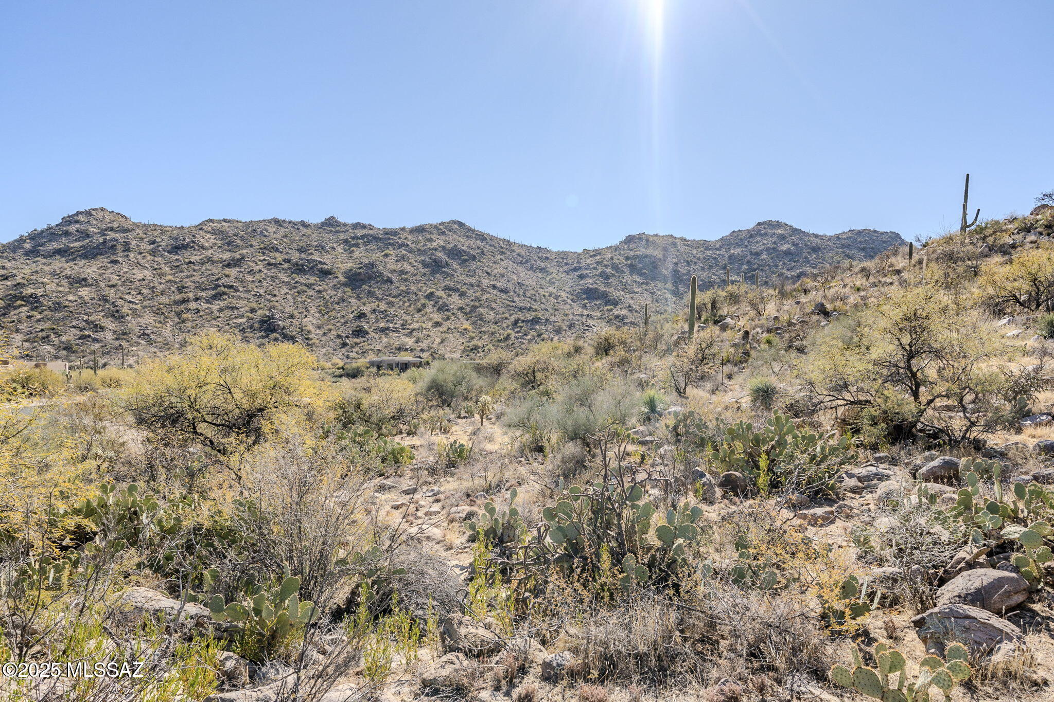 3821 W Cayton Mountain Drive Unit: 162