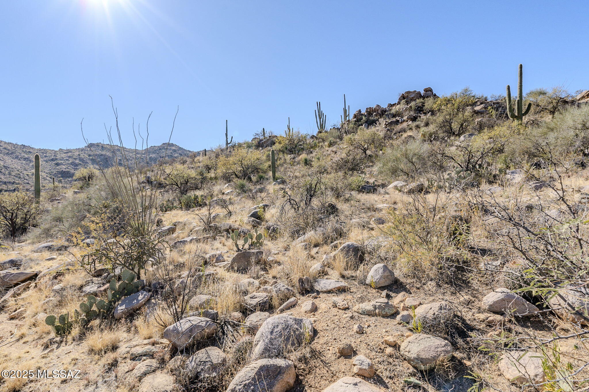 3821 W Cayton Mountain Drive Unit: 162