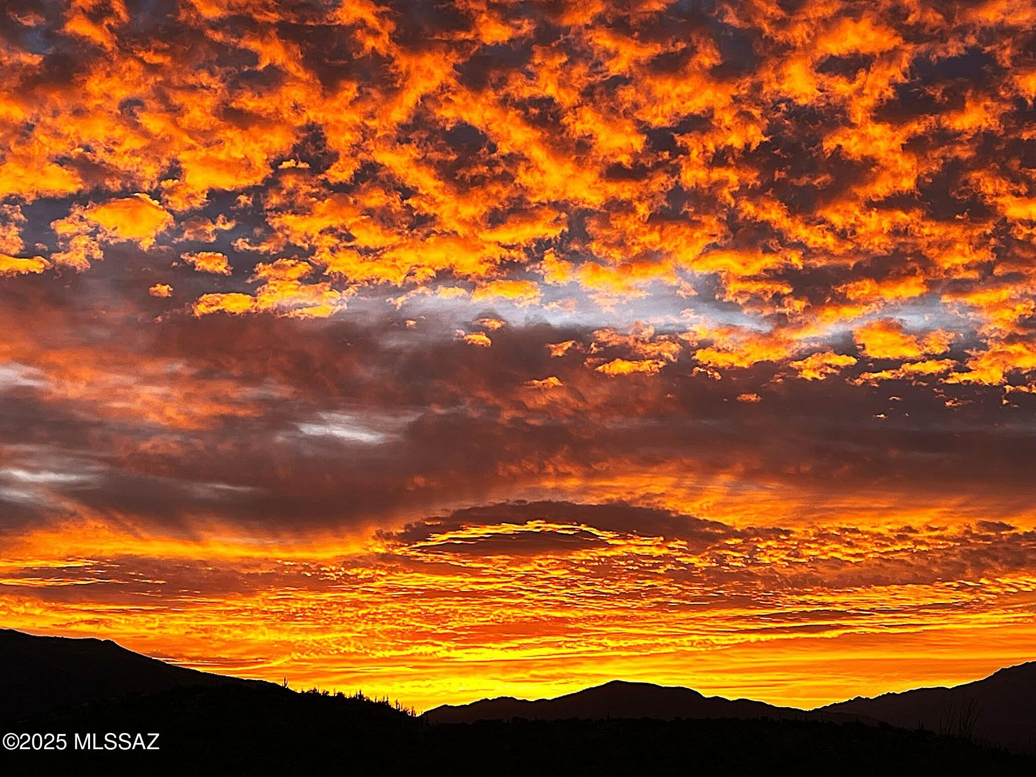 5344 N Via Sempreverde