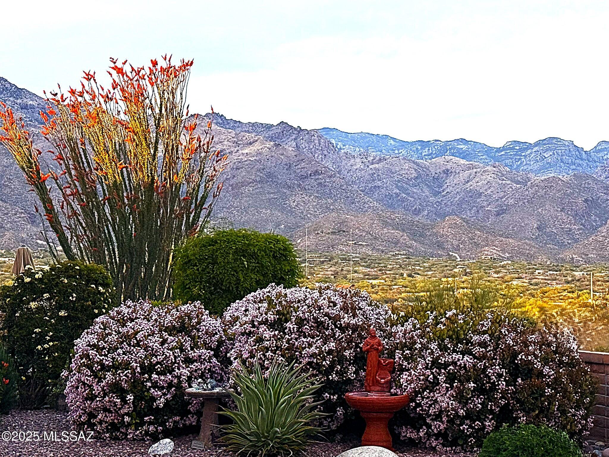 5344 N Via Sempreverde