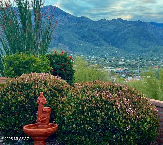 5344 N Via Sempreverde