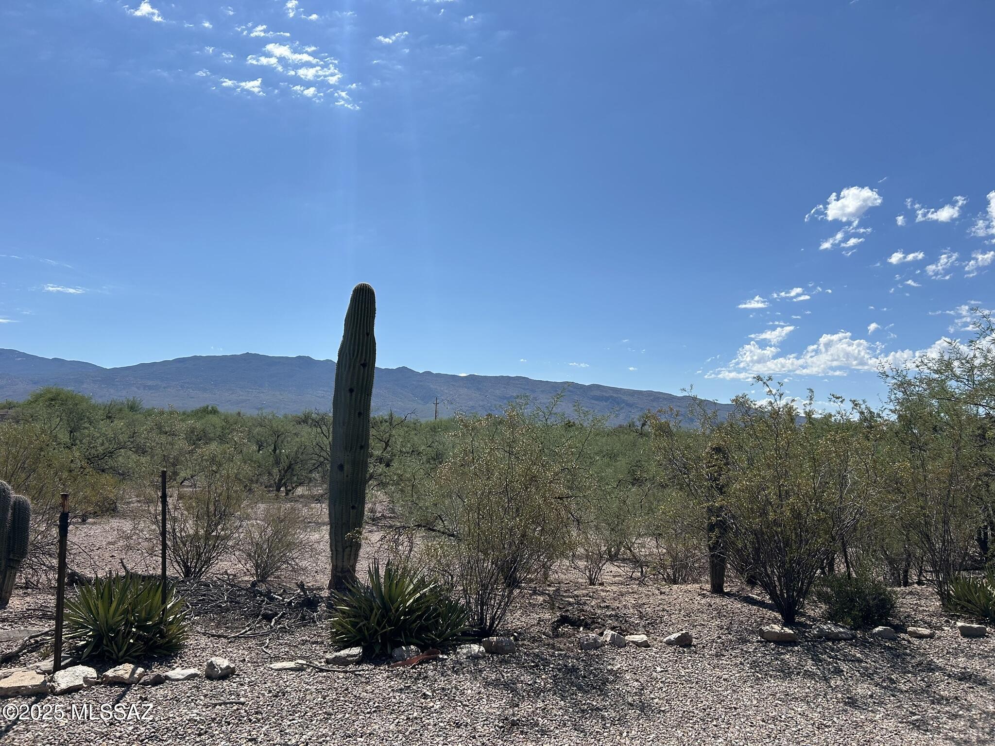 11525 E Tanque Verde Road