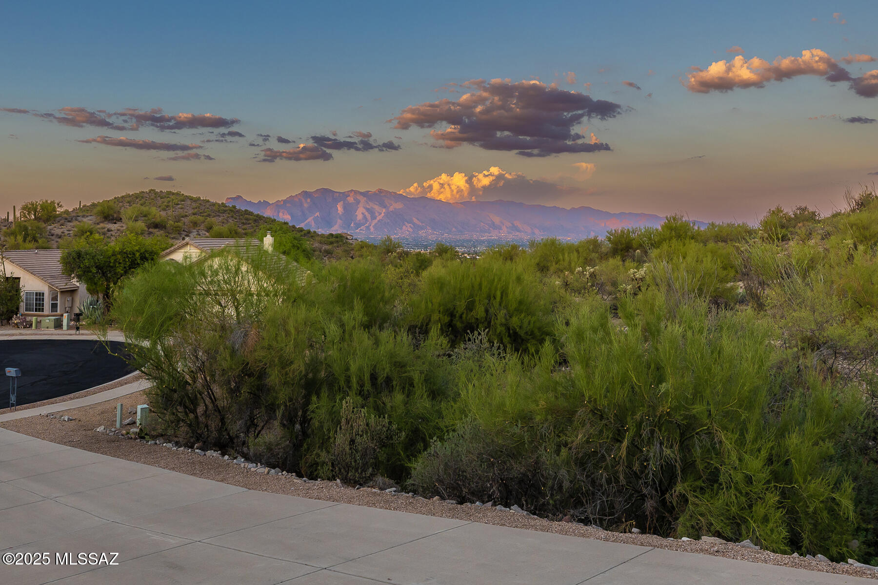 824 S Saguaro Ridge Place