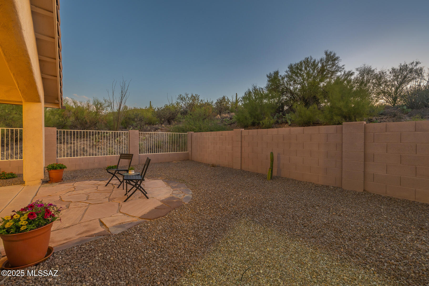 824 S Saguaro Ridge Place