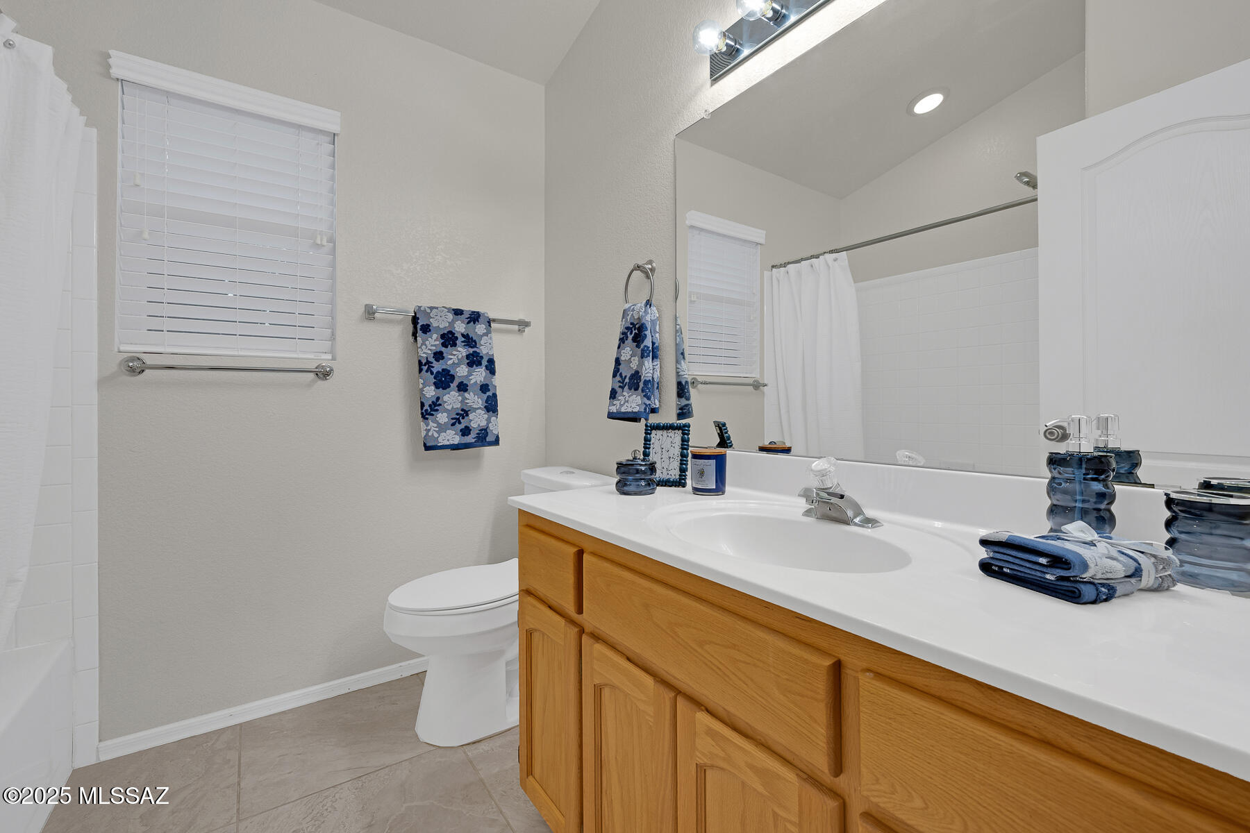 824 S Saguaro Ridge Place