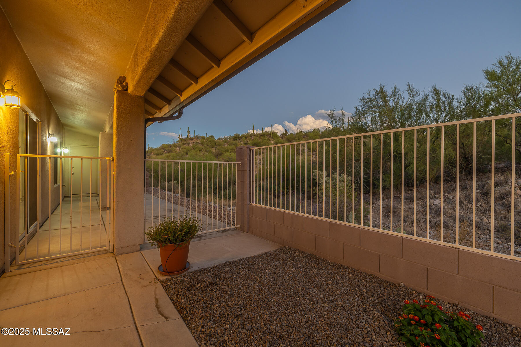 824 S Saguaro Ridge Place