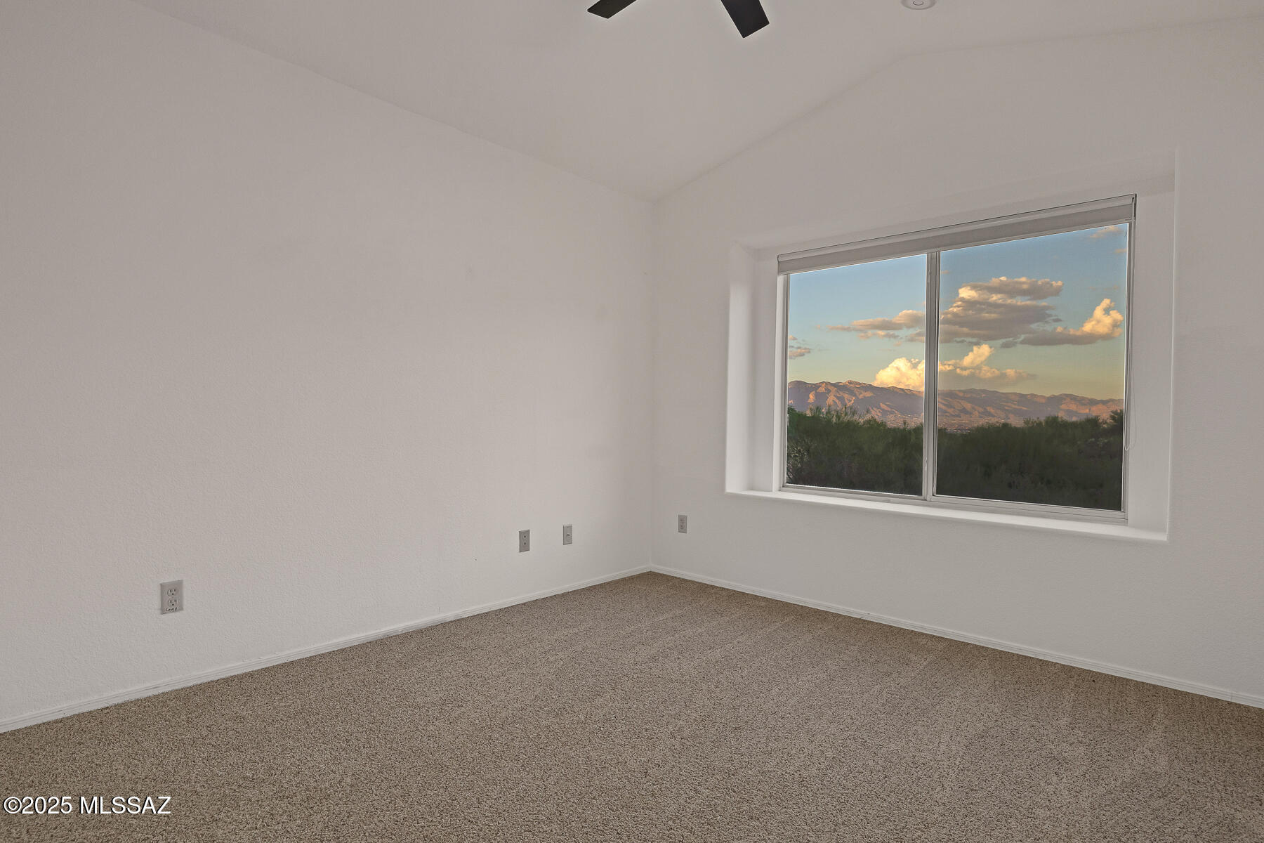 824 S Saguaro Ridge Place