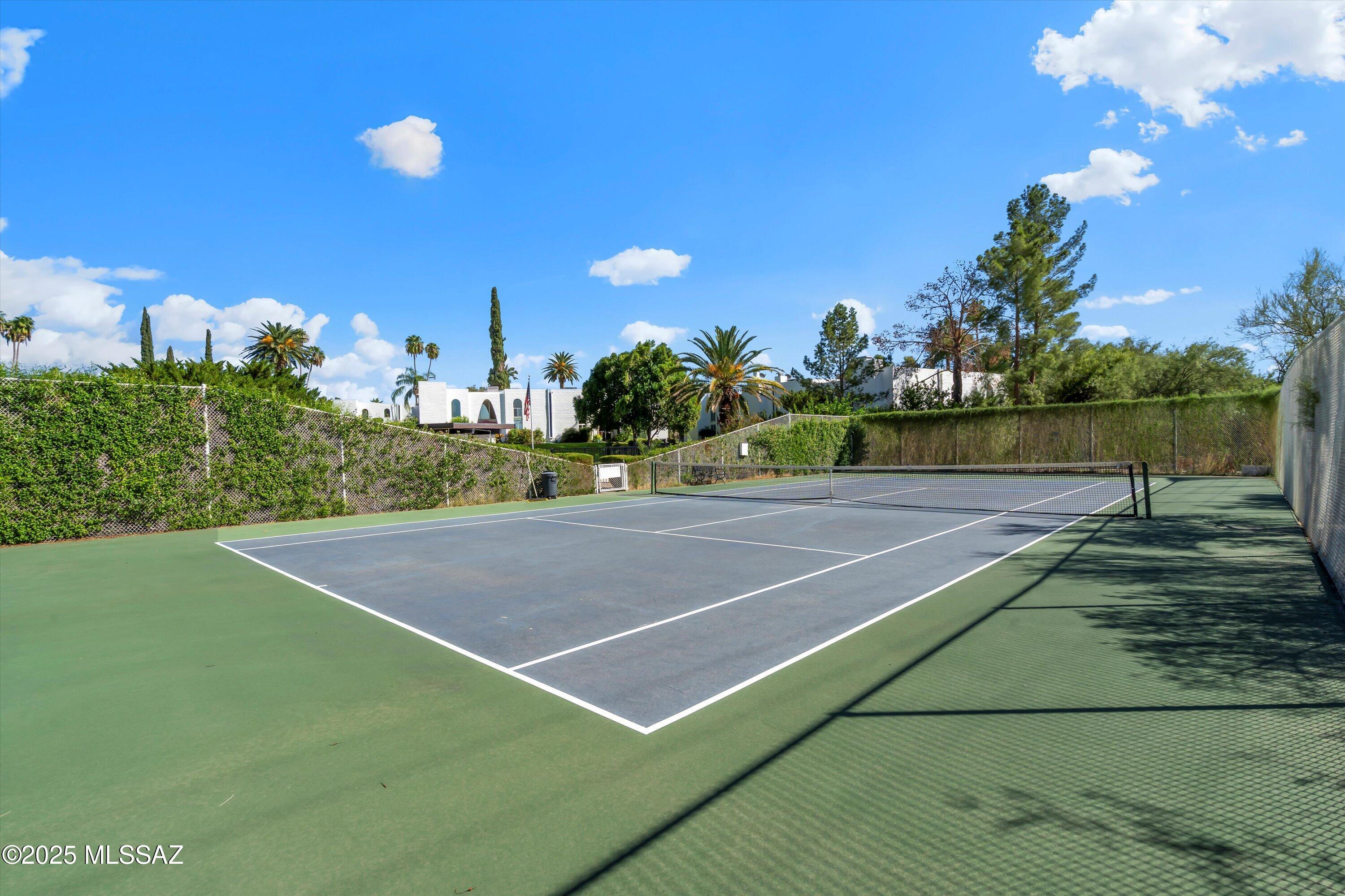 700 W Roller Coaster Road