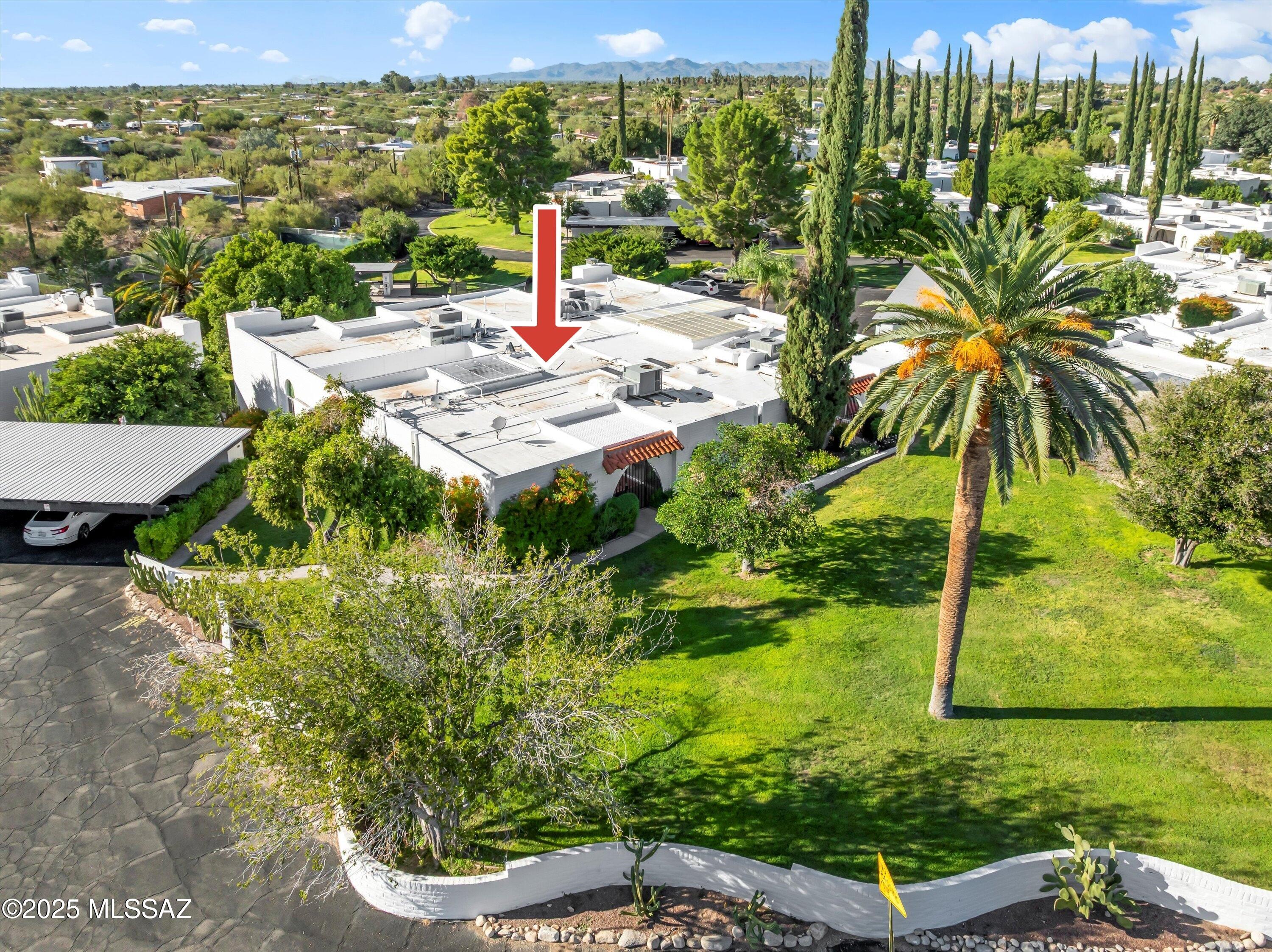 700 W Roller Coaster Road