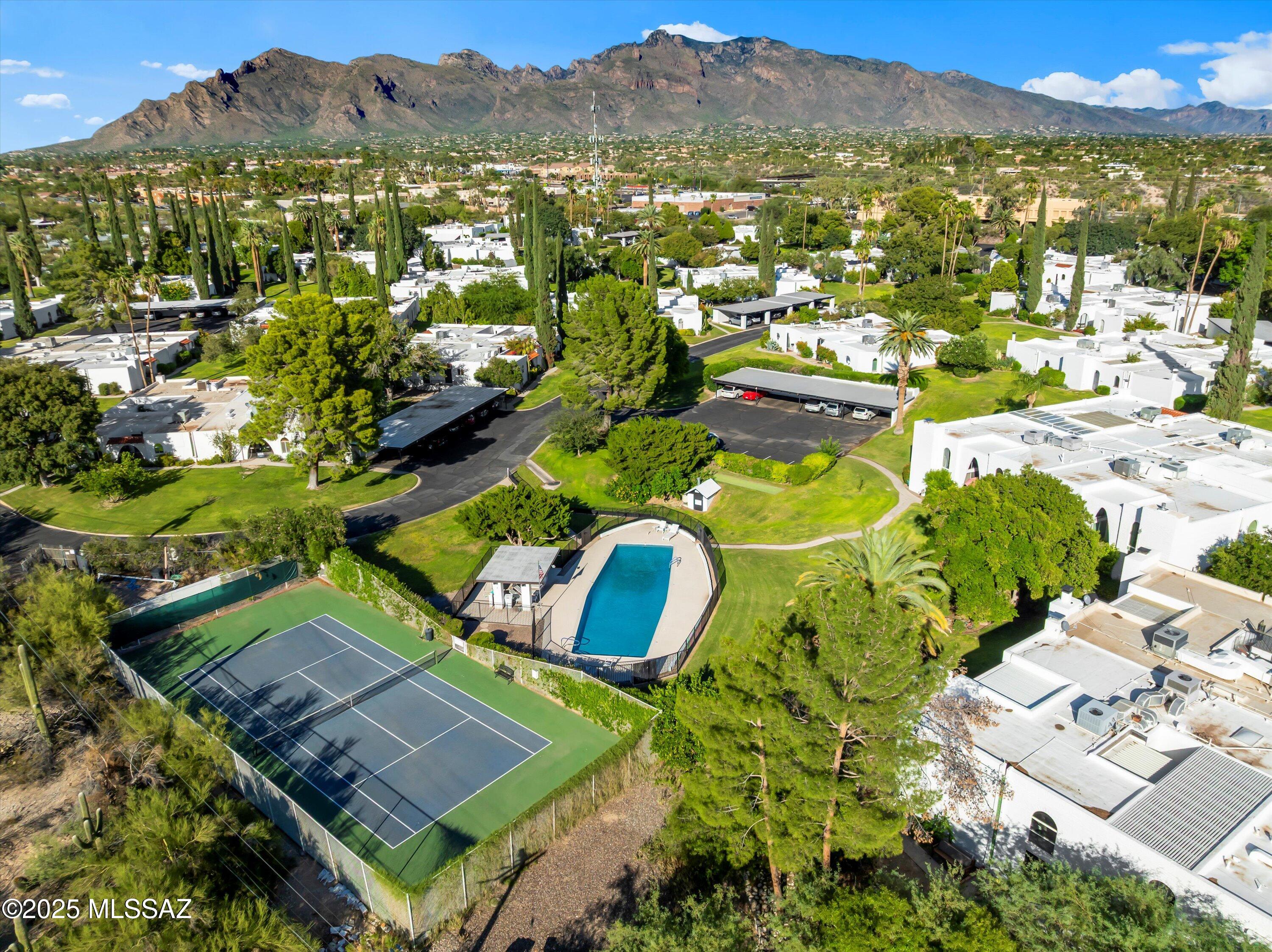 700 W Roller Coaster Road