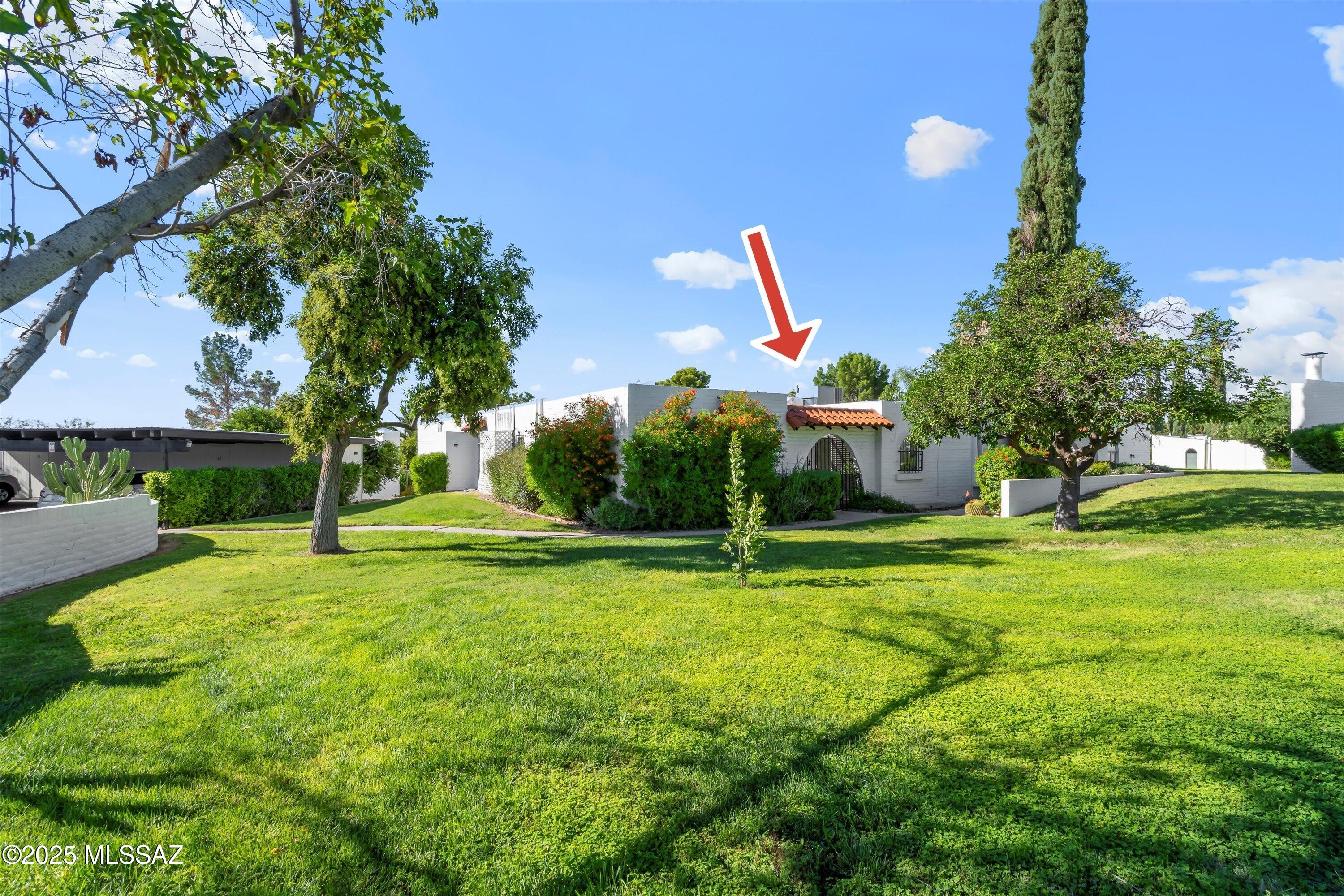 700 W Roller Coaster Road