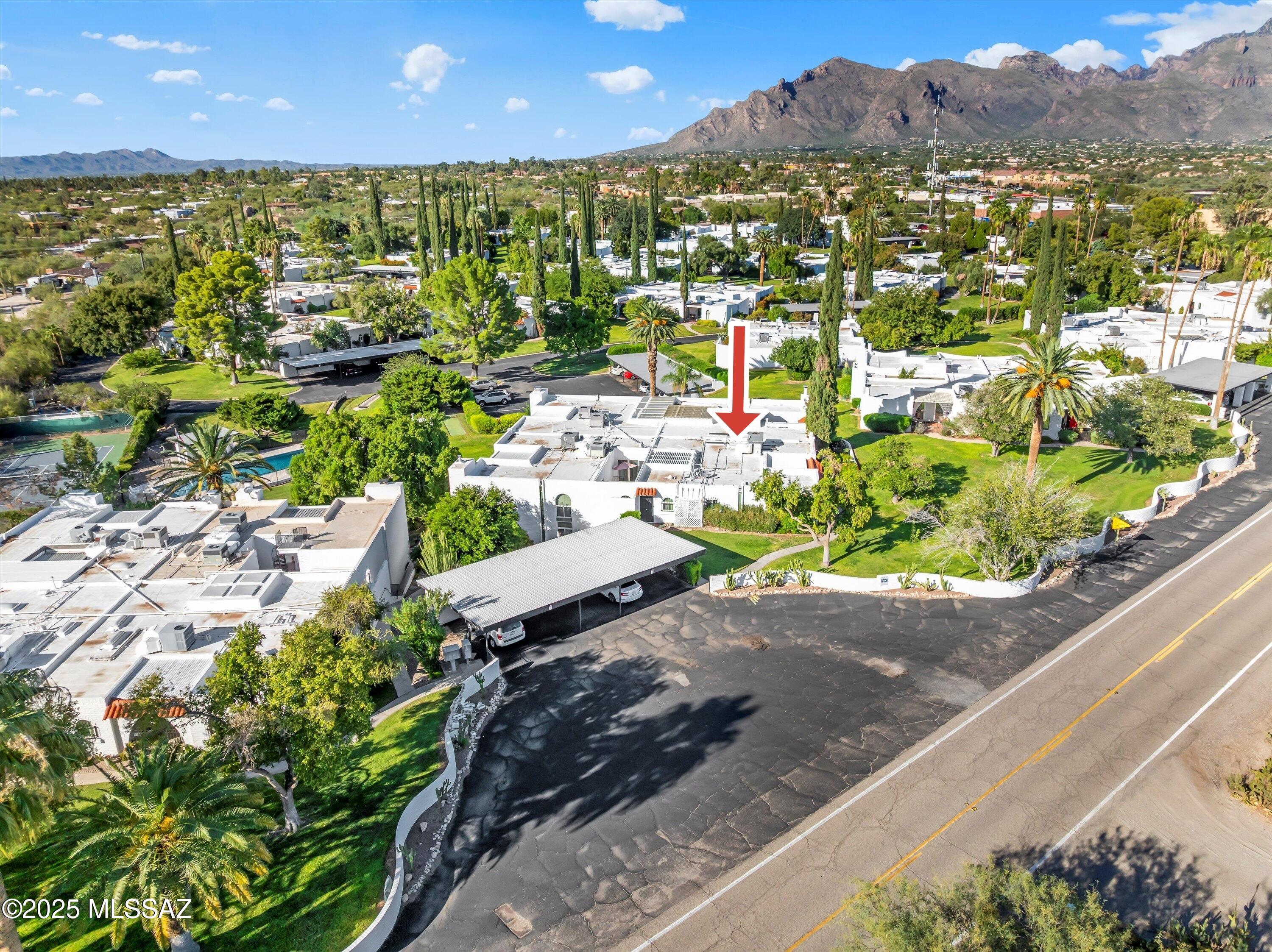 700 W Roller Coaster Road