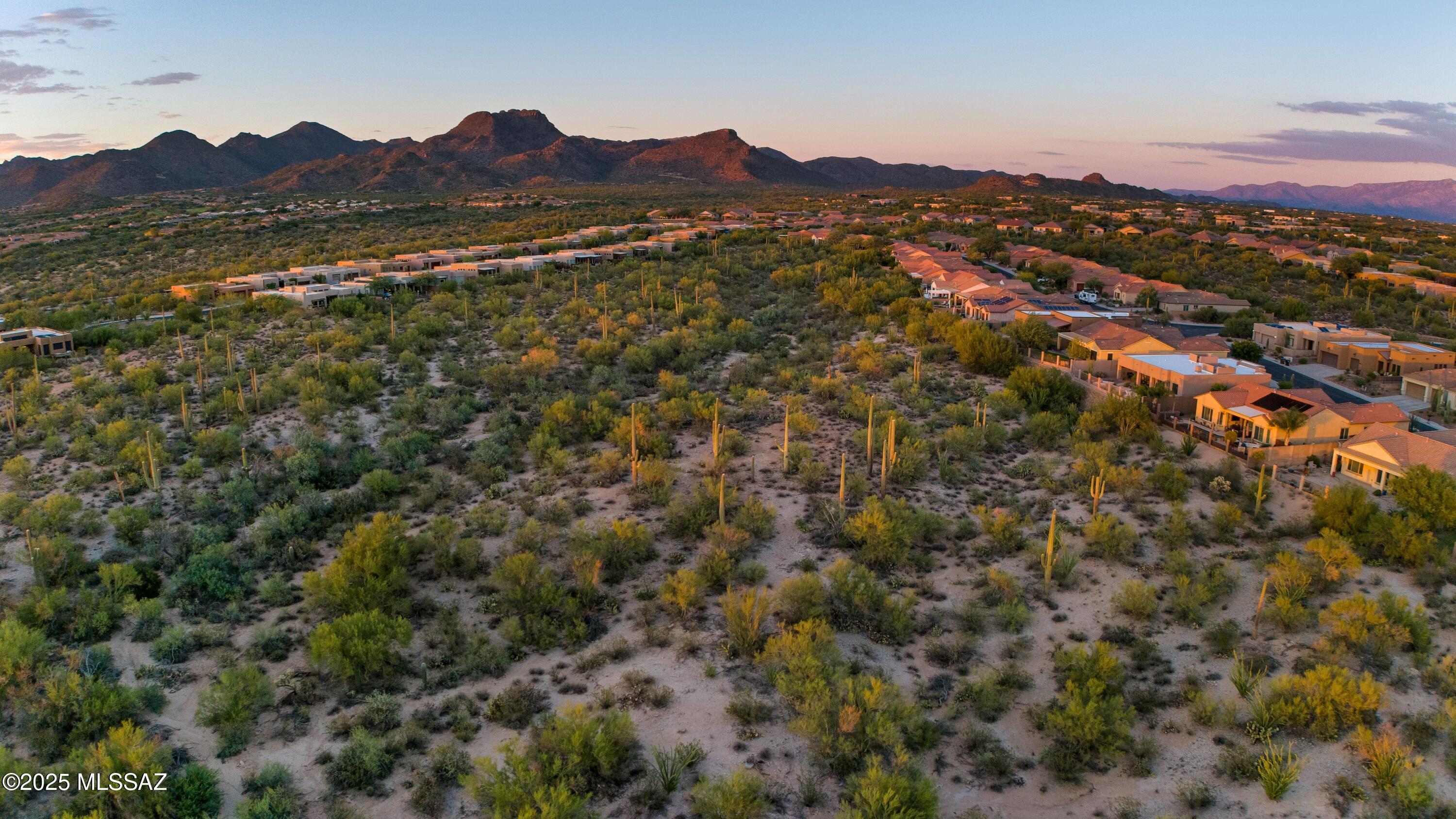 12433 N Golden Mirror Drive