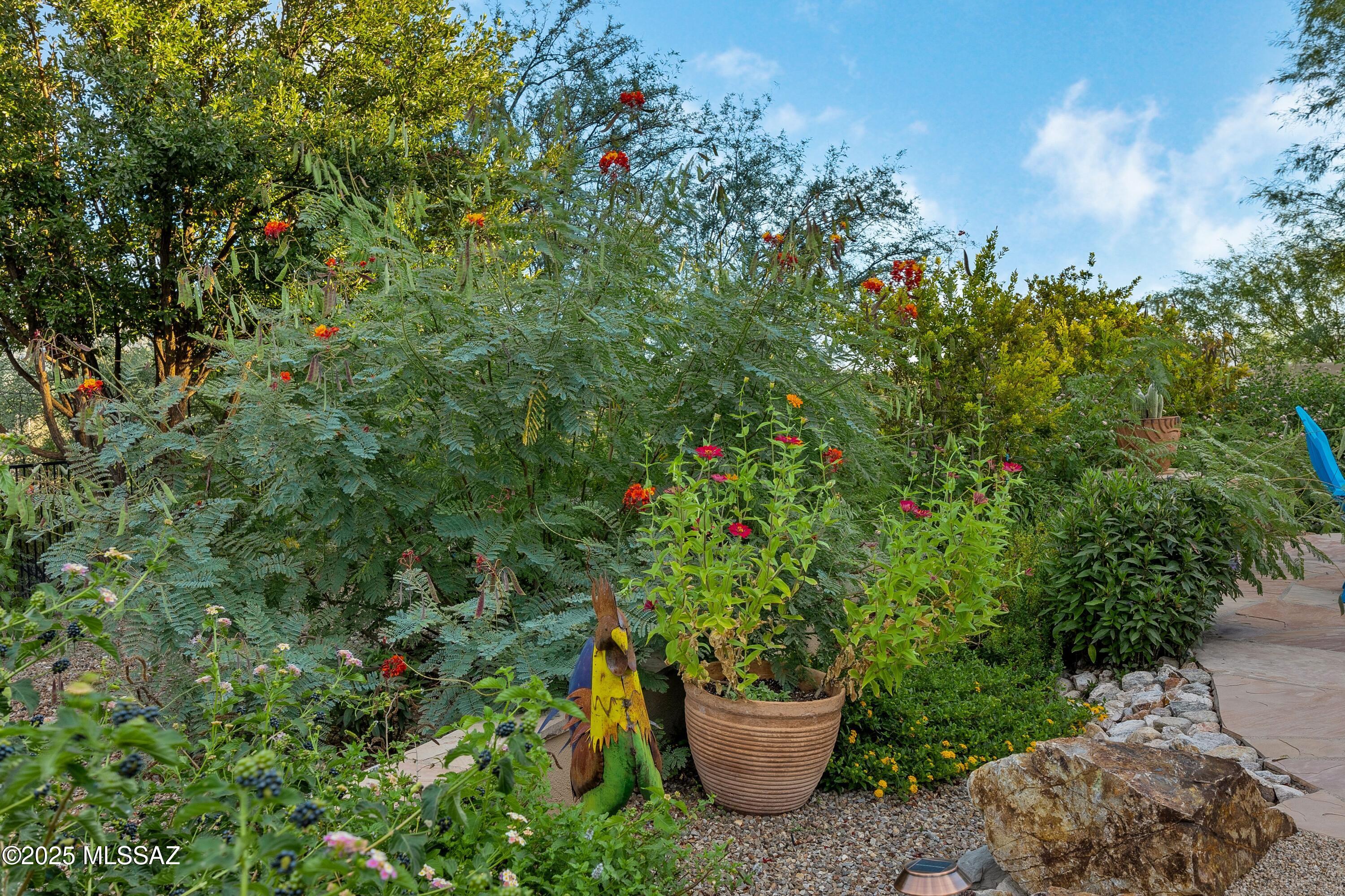 12362 E Goldpan Place